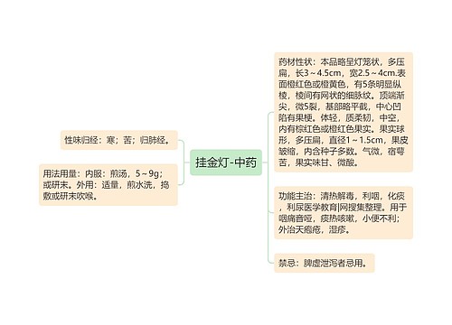 挂金灯-中药