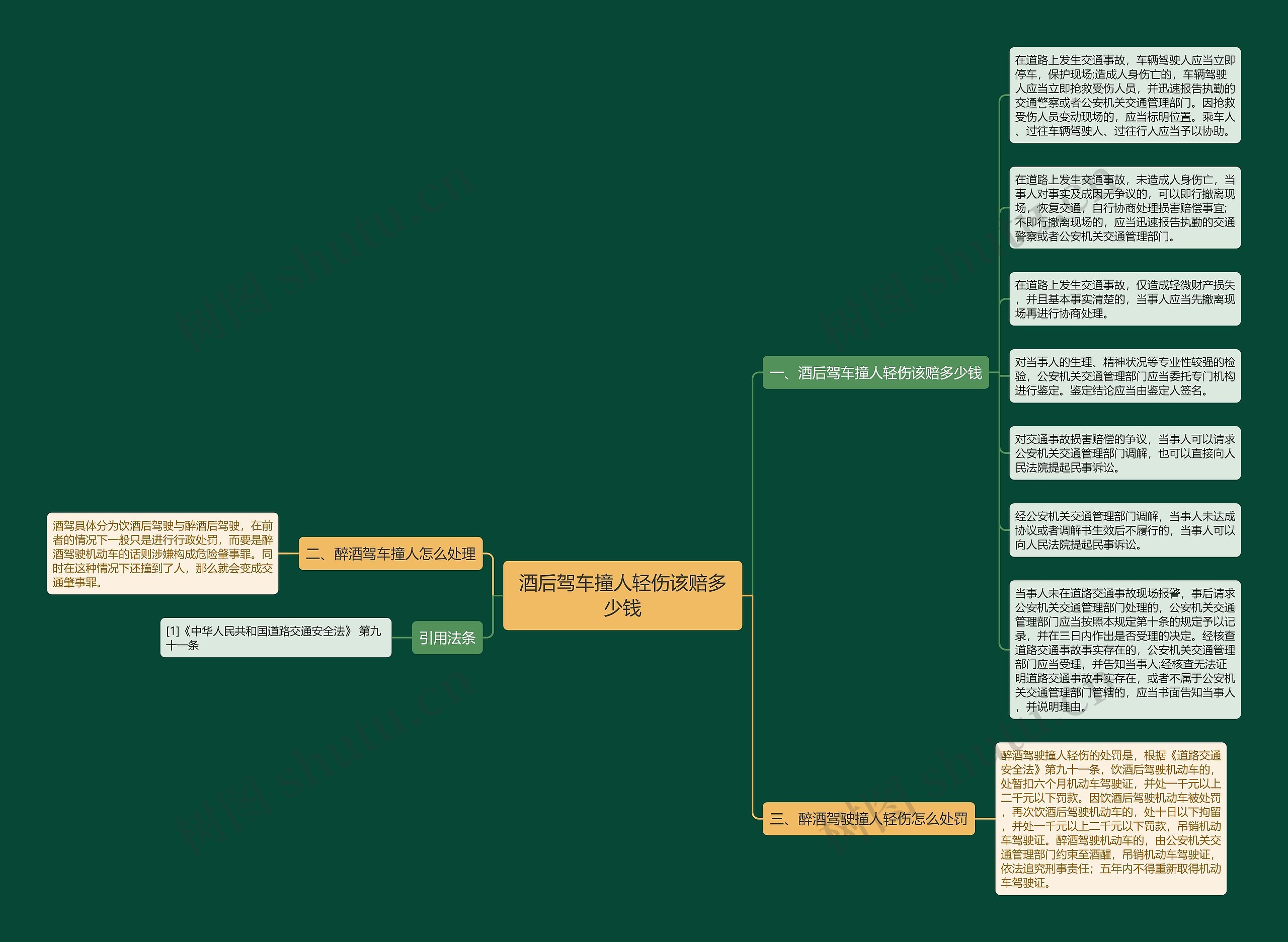 酒后驾车撞人轻伤该赔多少钱思维导图