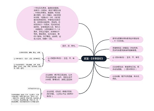 紫堇-《本草图经》思维导图