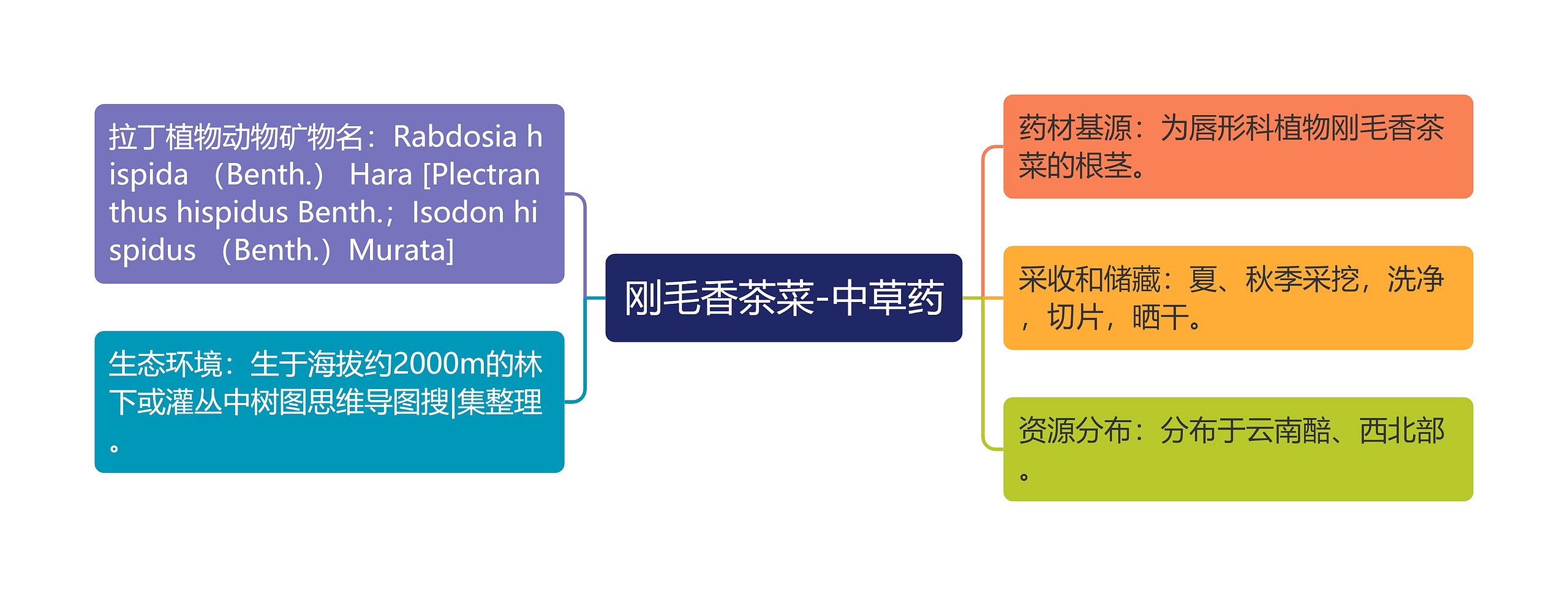 刚毛香茶菜-中草药思维导图