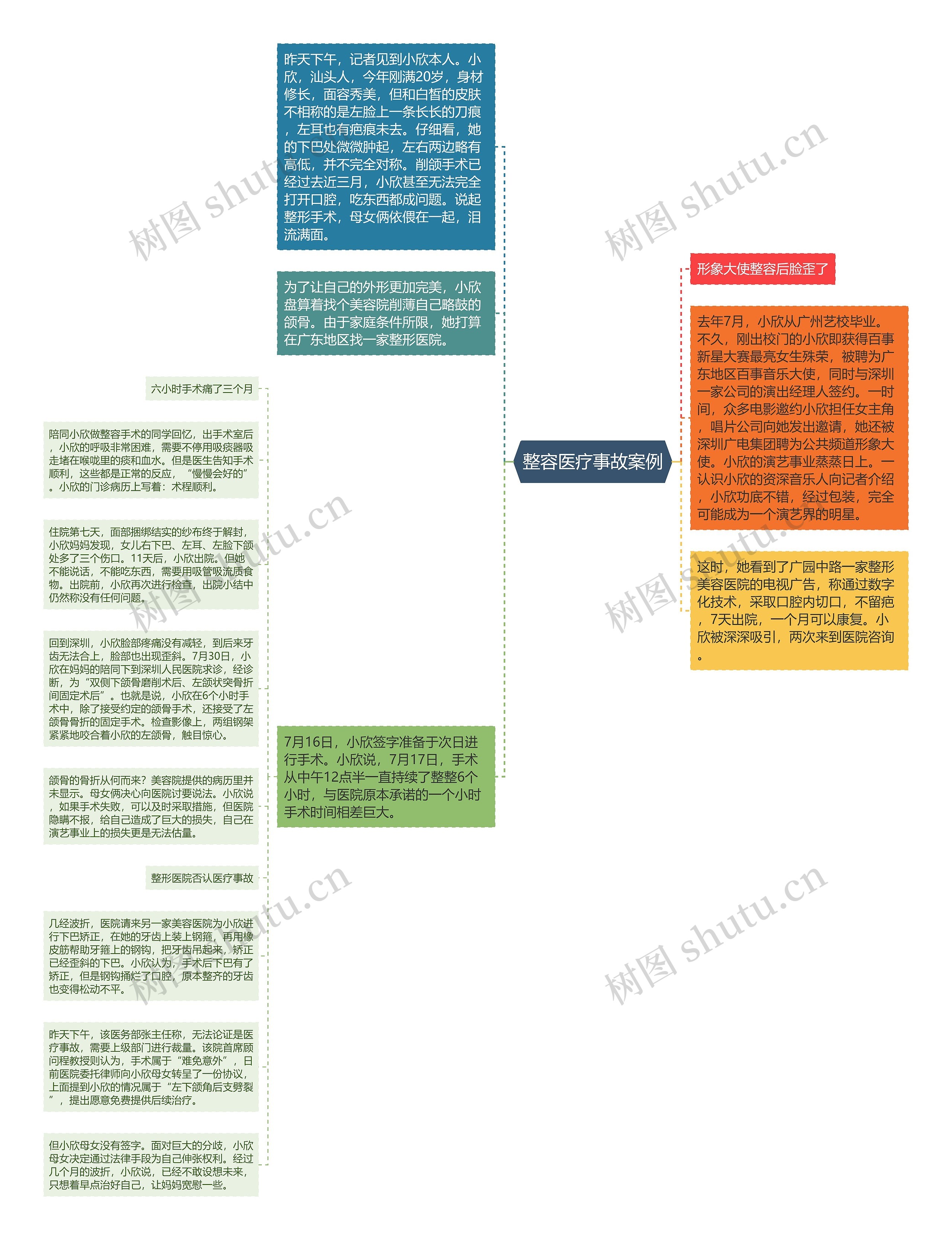 整容医疗事故案例思维导图