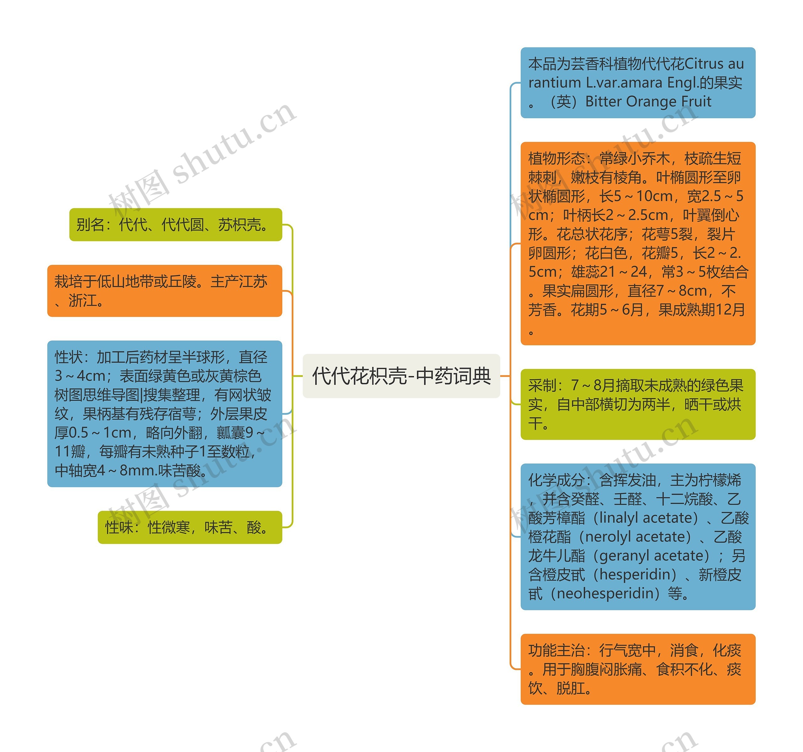 代代花枳壳-中药词典思维导图