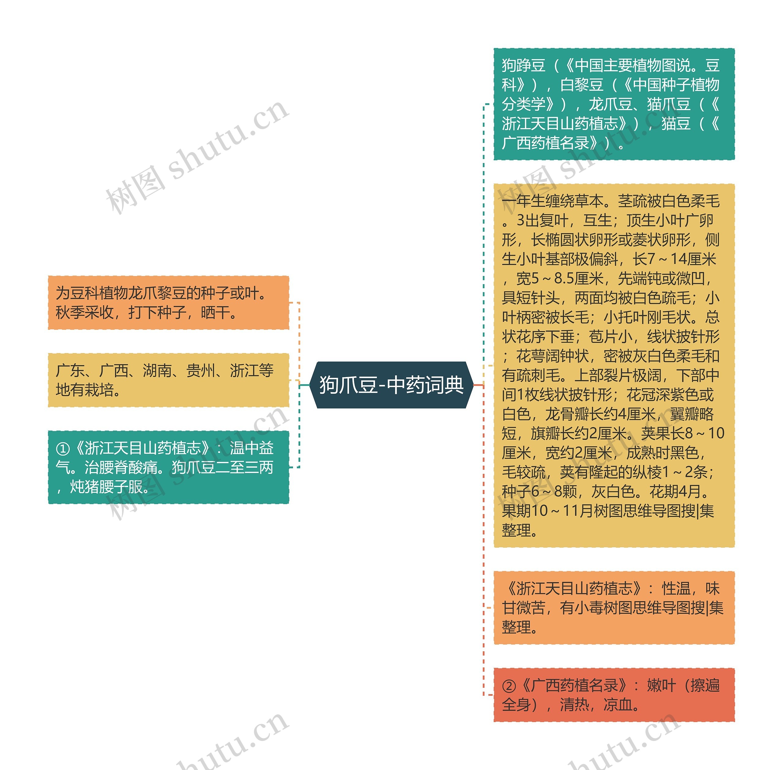 狗爪豆-中药词典思维导图