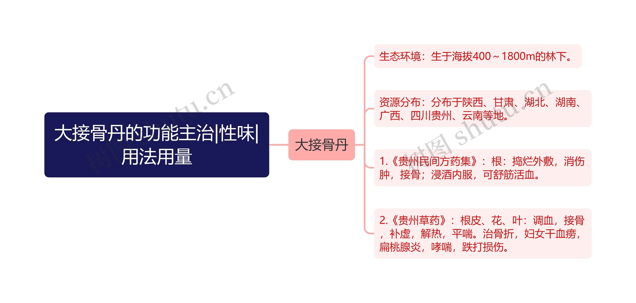 大接骨丹的功能主治|性味|用法用量