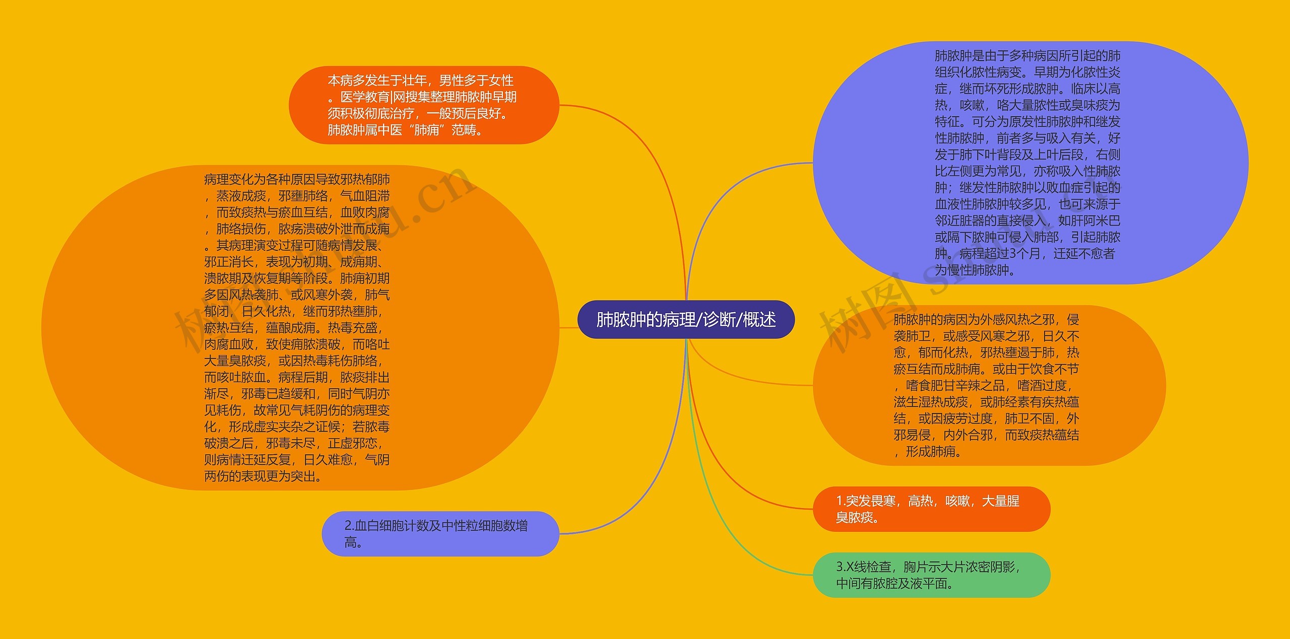 肺脓肿的病理/诊断/概述