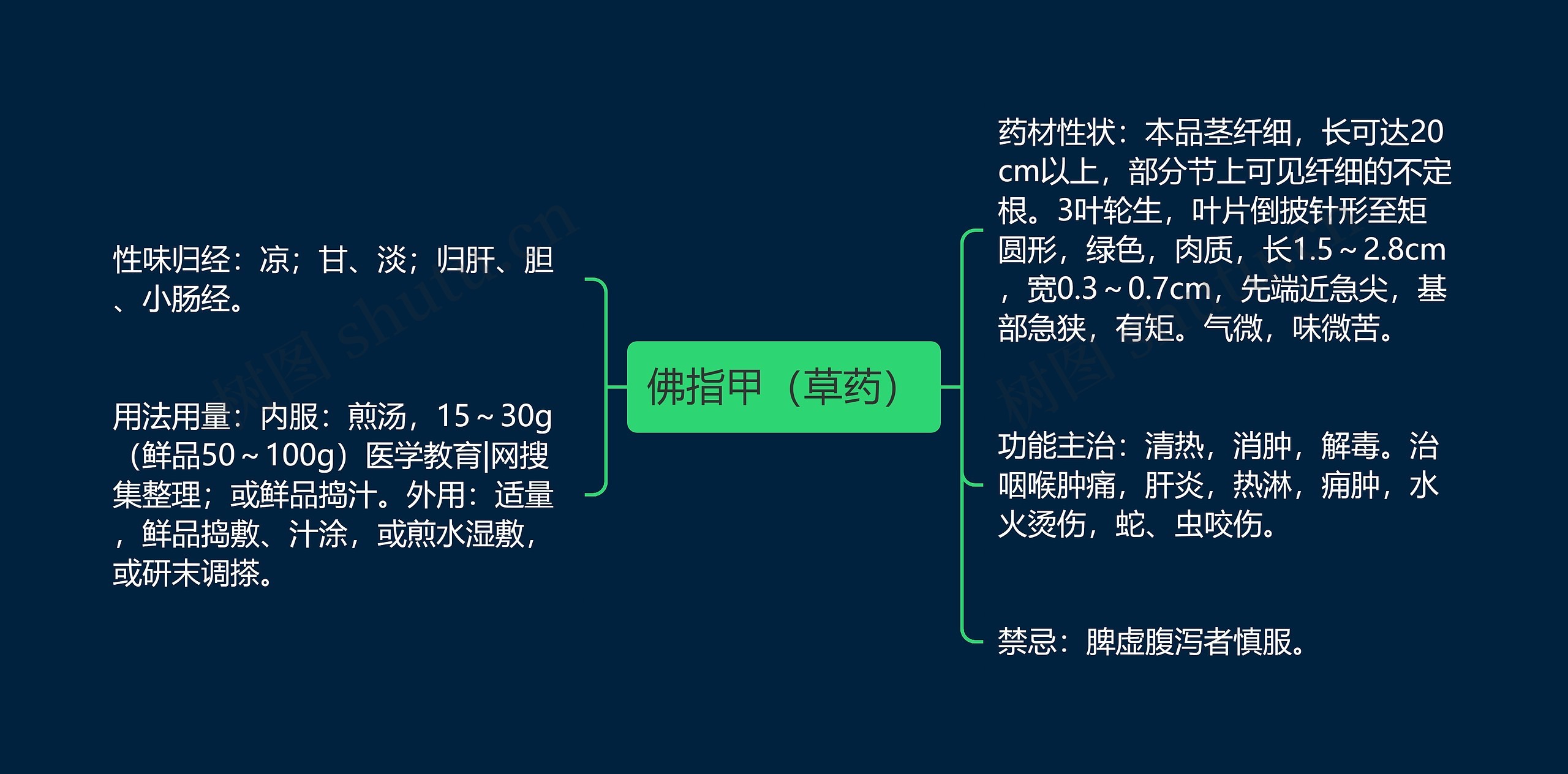 佛指甲（草药）思维导图