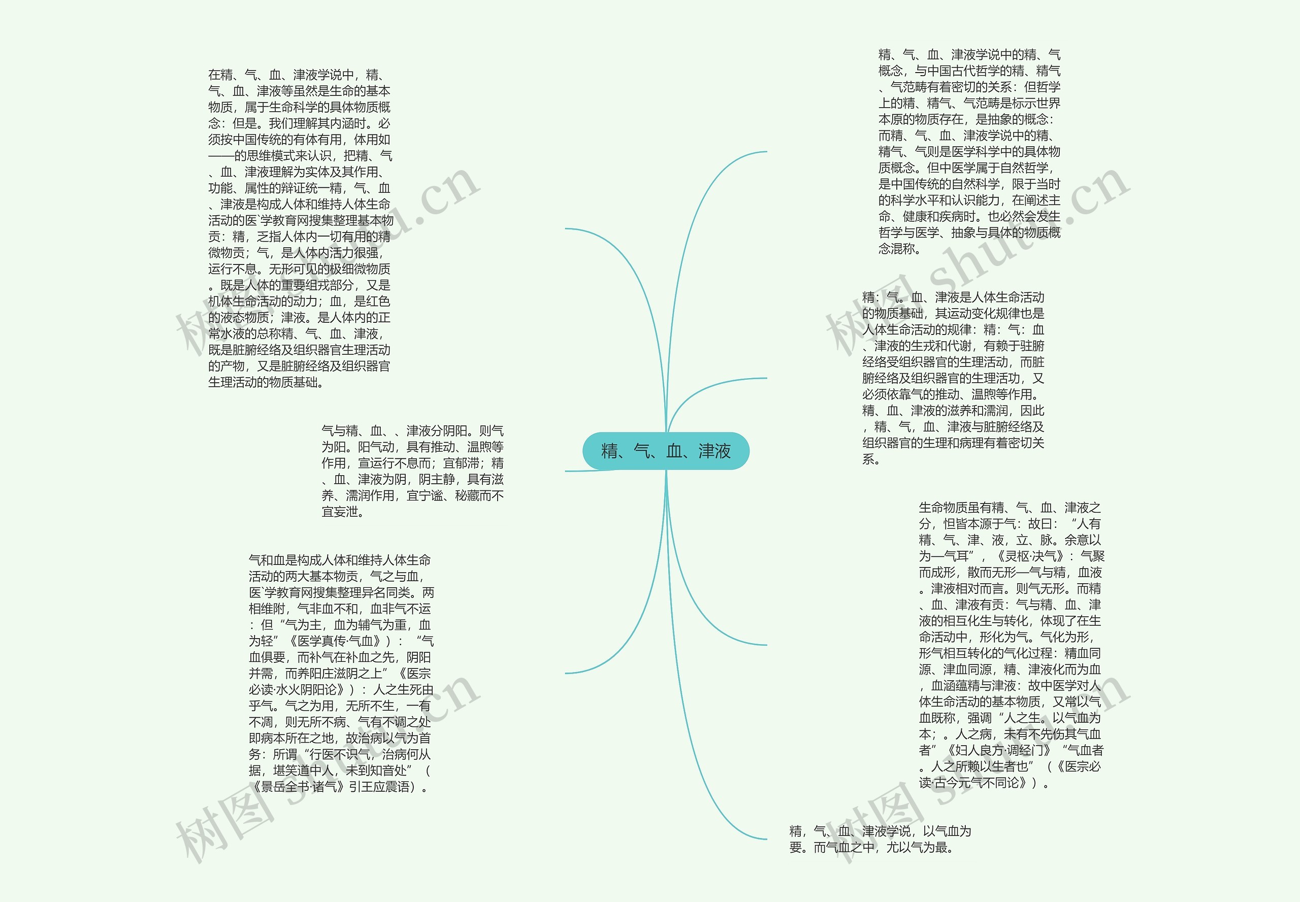 精、气、血、津液思维导图