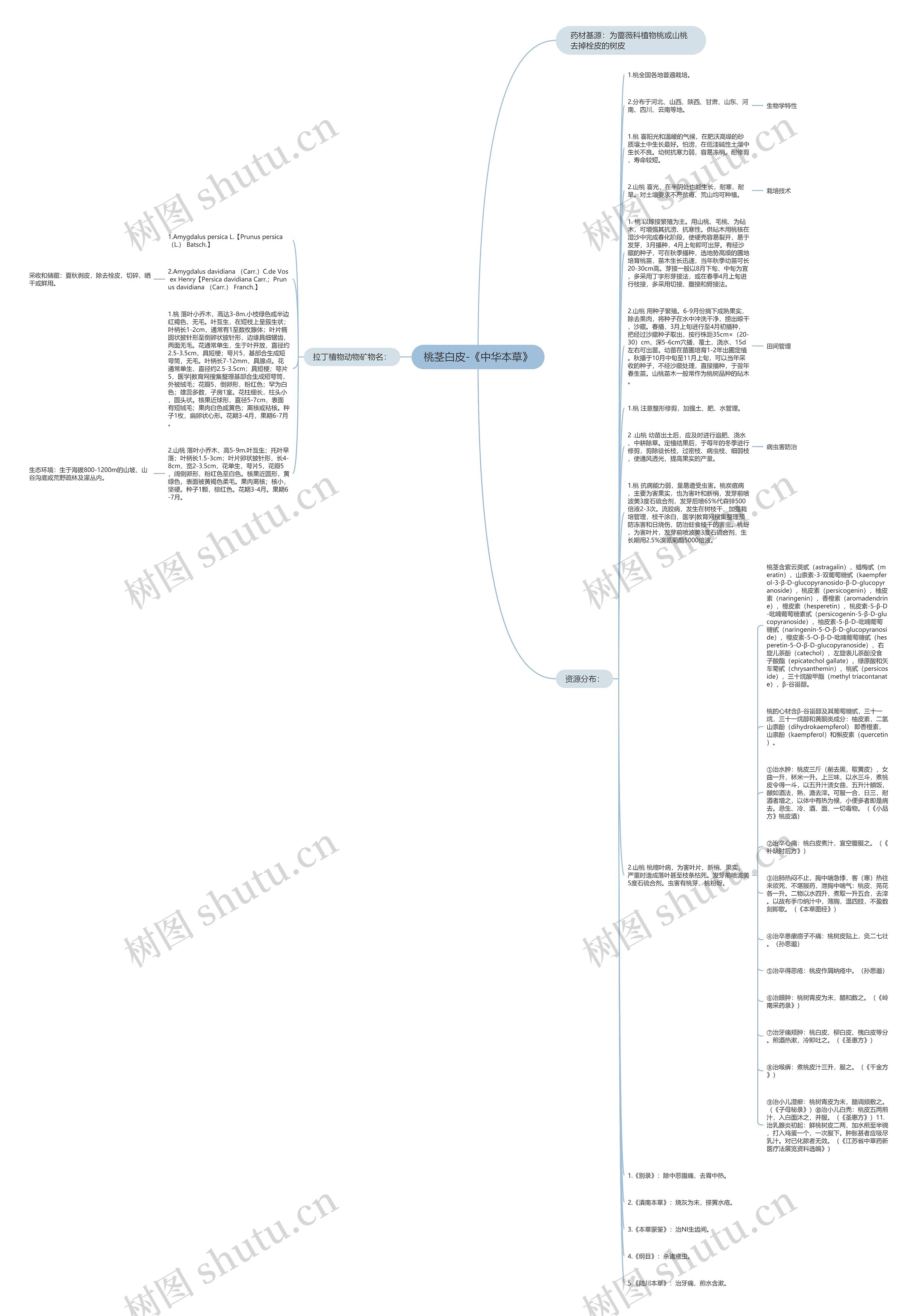 桃茎白皮-《中华本草》思维导图
