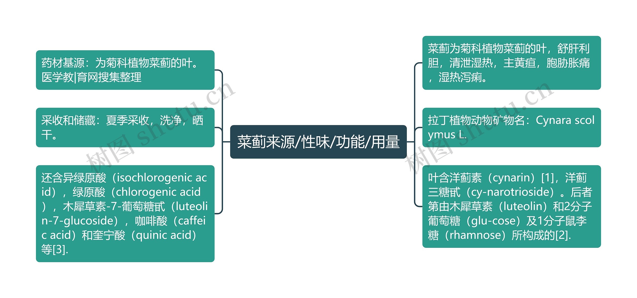 菜蓟来源/性味/功能/用量