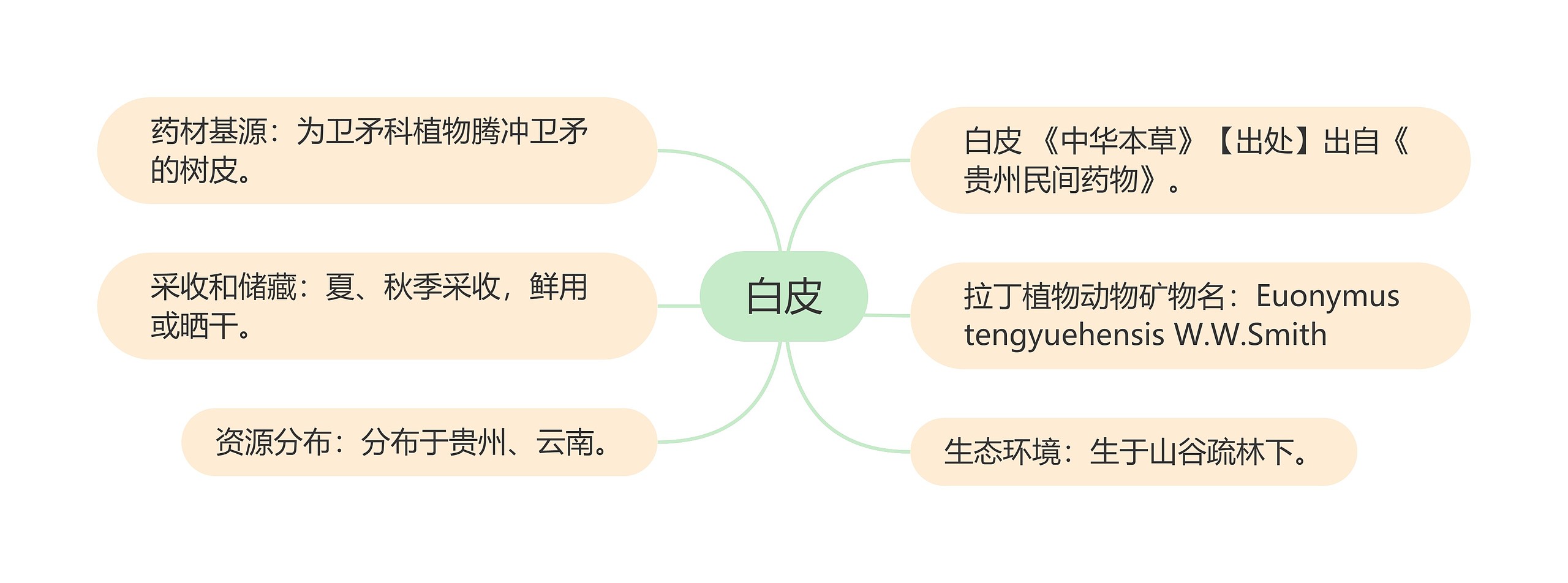 白皮思维导图