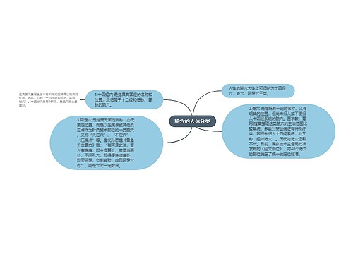 腧穴的人体分类