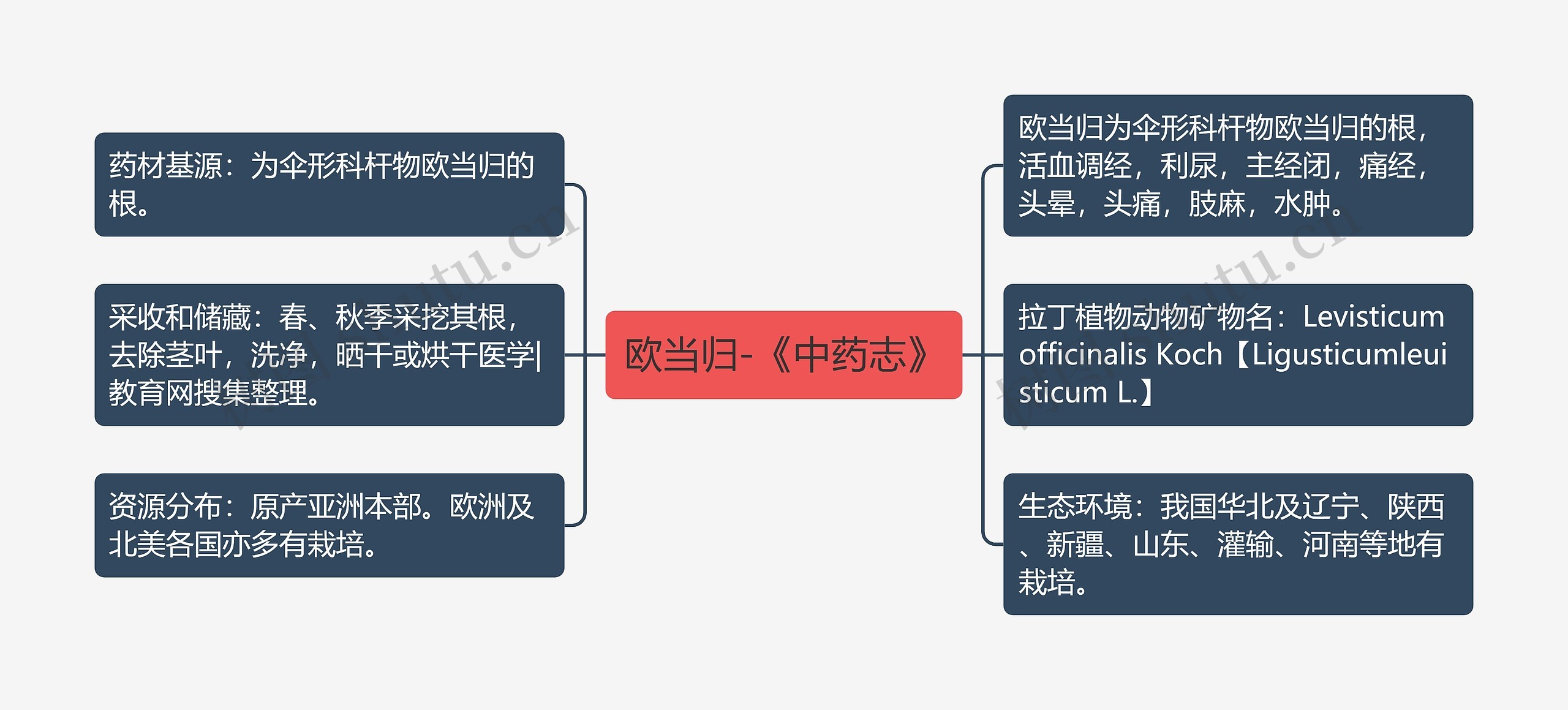 欧当归-《中药志》思维导图