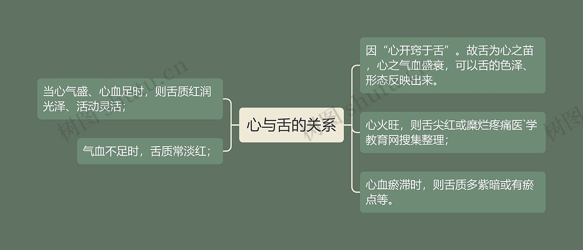 心与舌的关系思维导图_编号p6984760-TreeMind树图