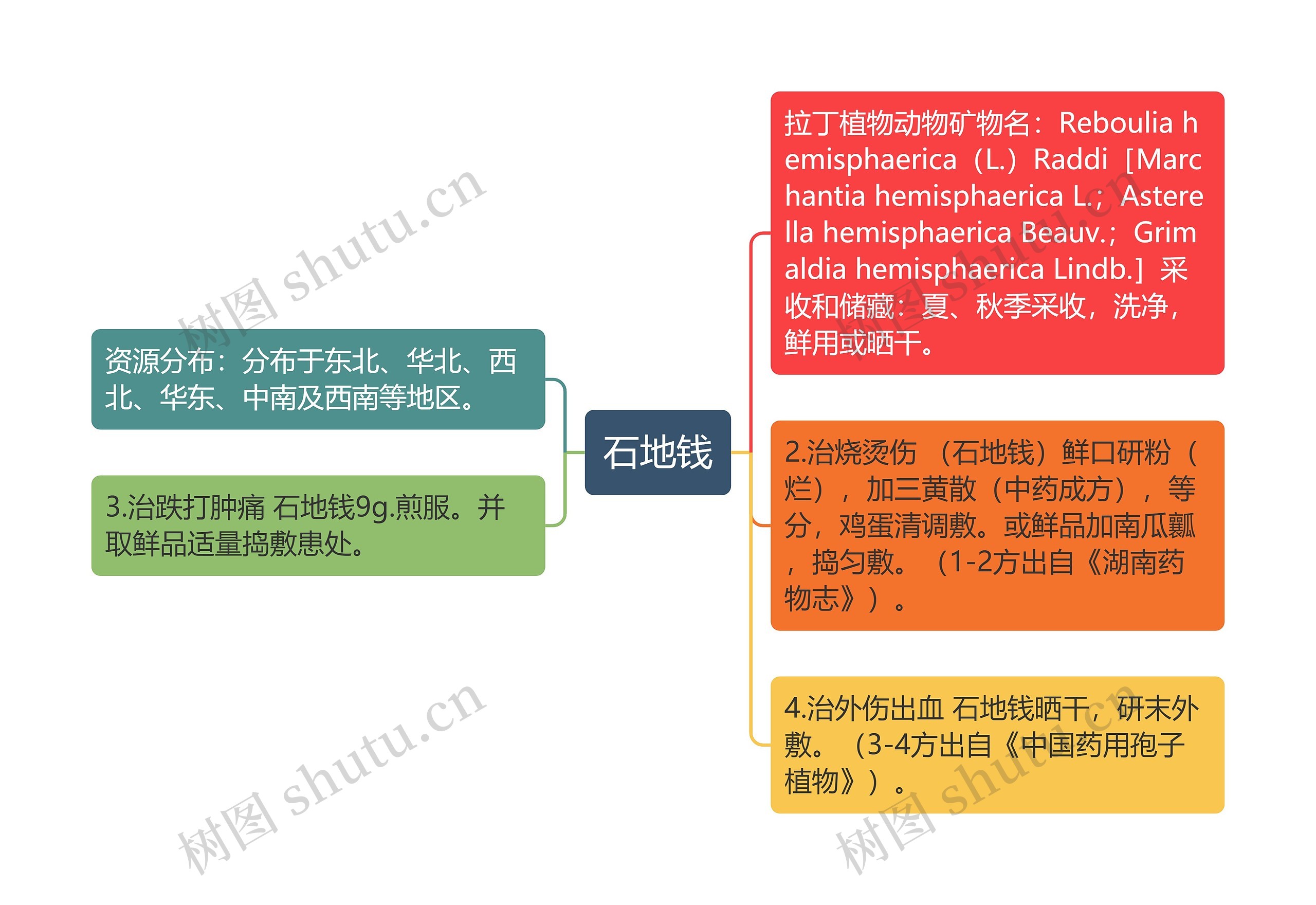 石地钱思维导图