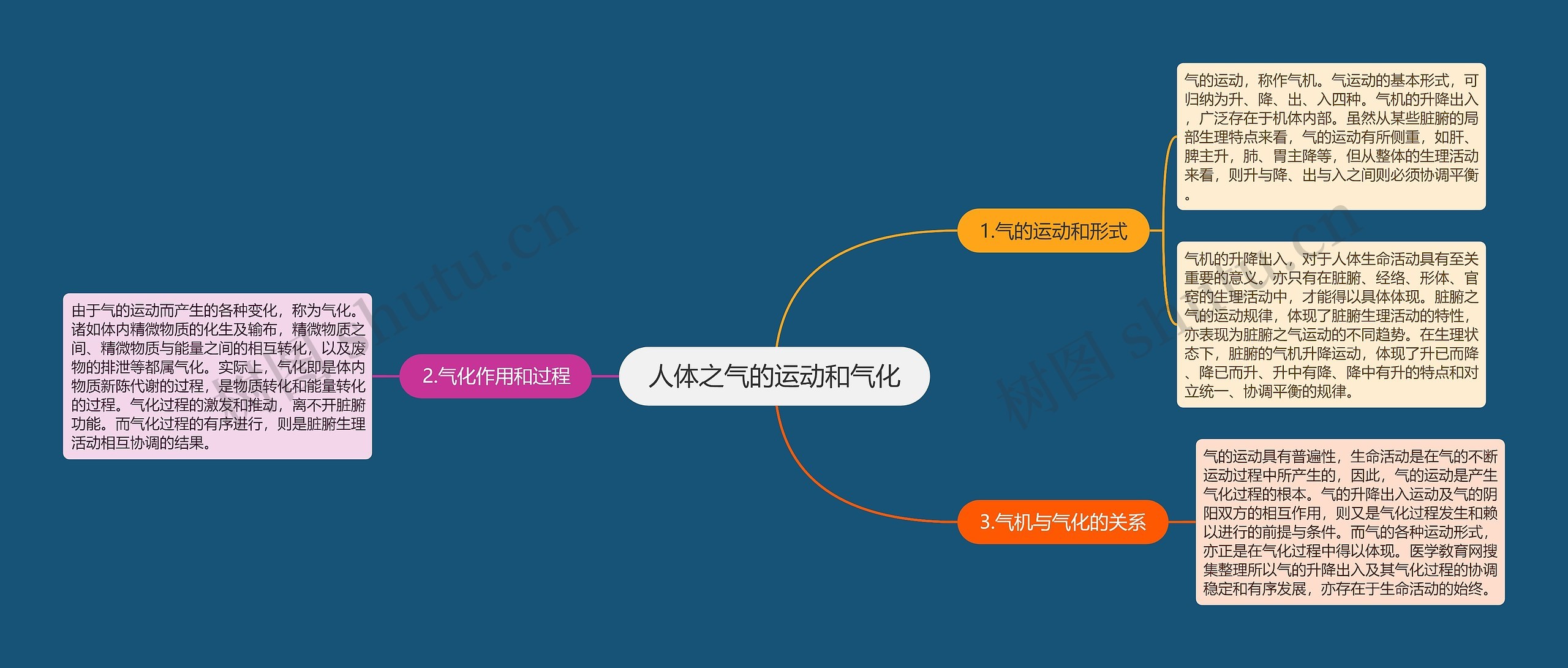 人体之气的运动和气化思维导图