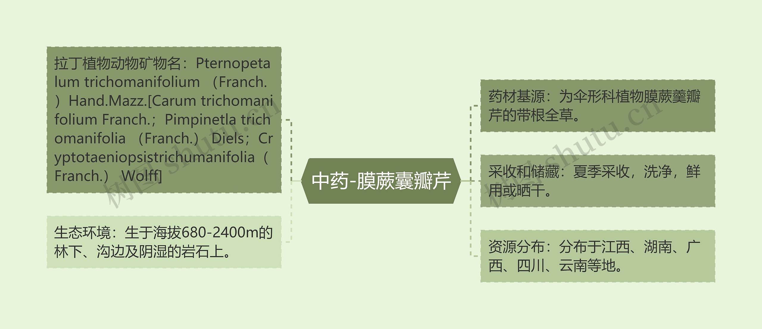 中药-膜蕨囊瓣芹思维导图