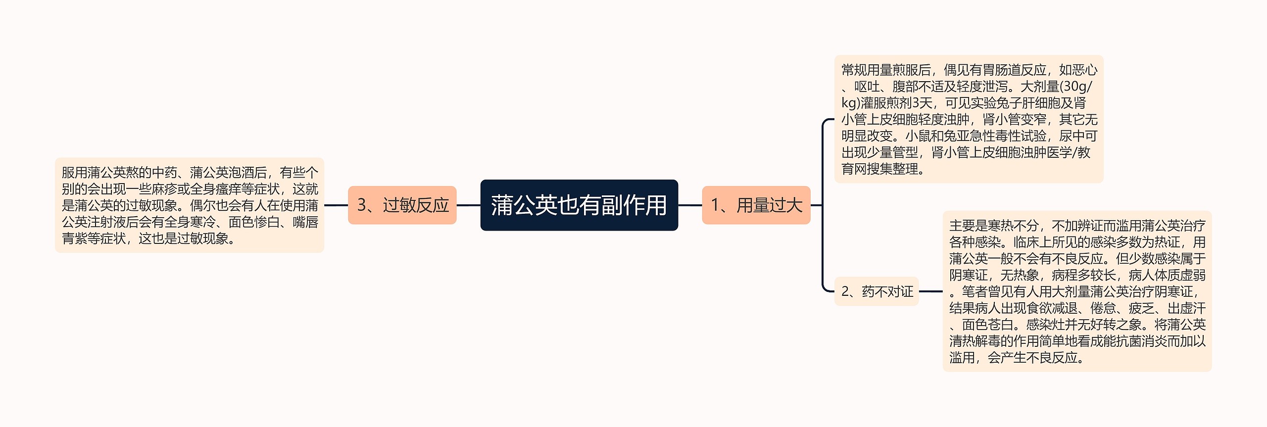 蒲公英也有副作用思维导图