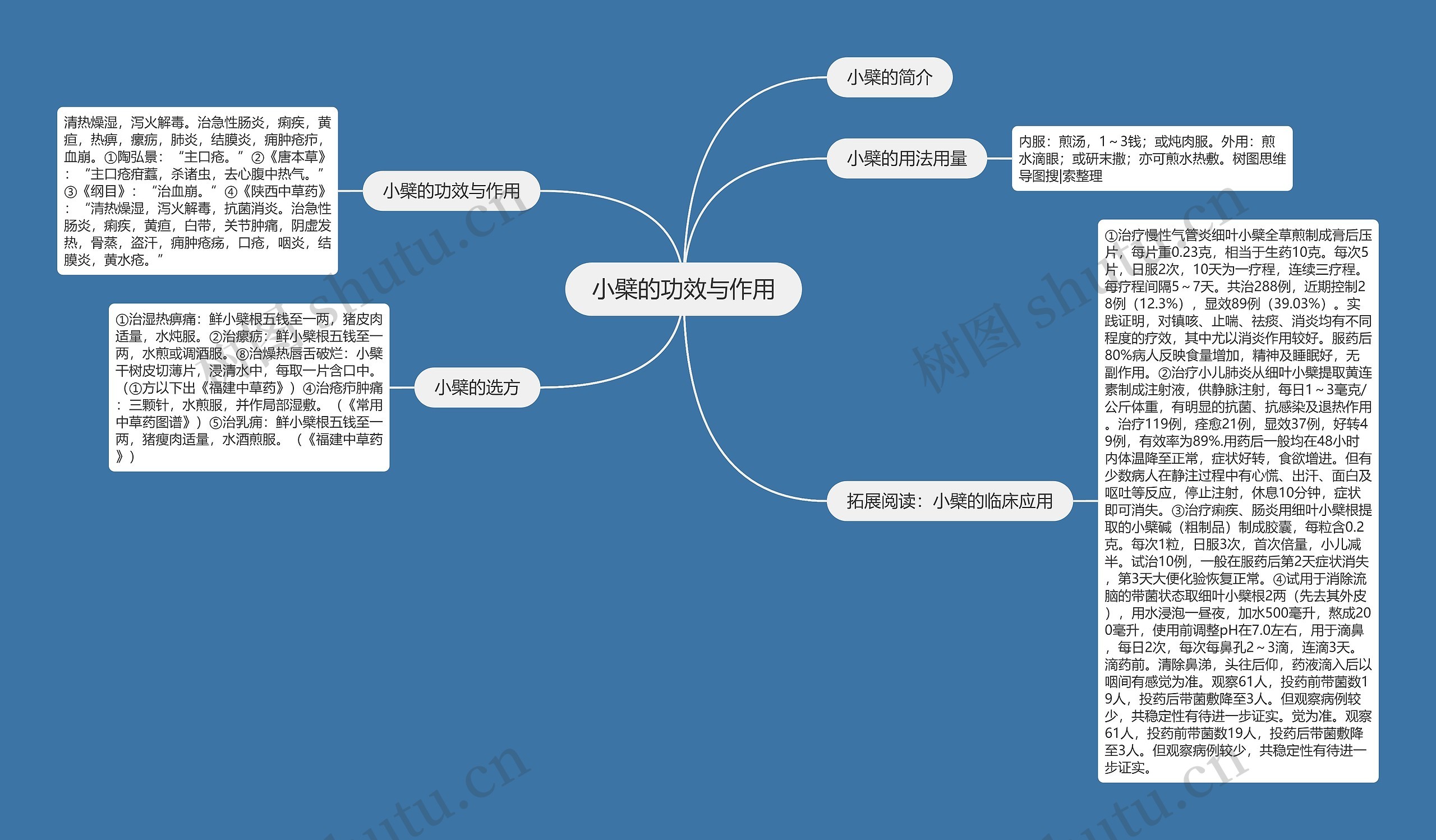 小檗的功效与作用