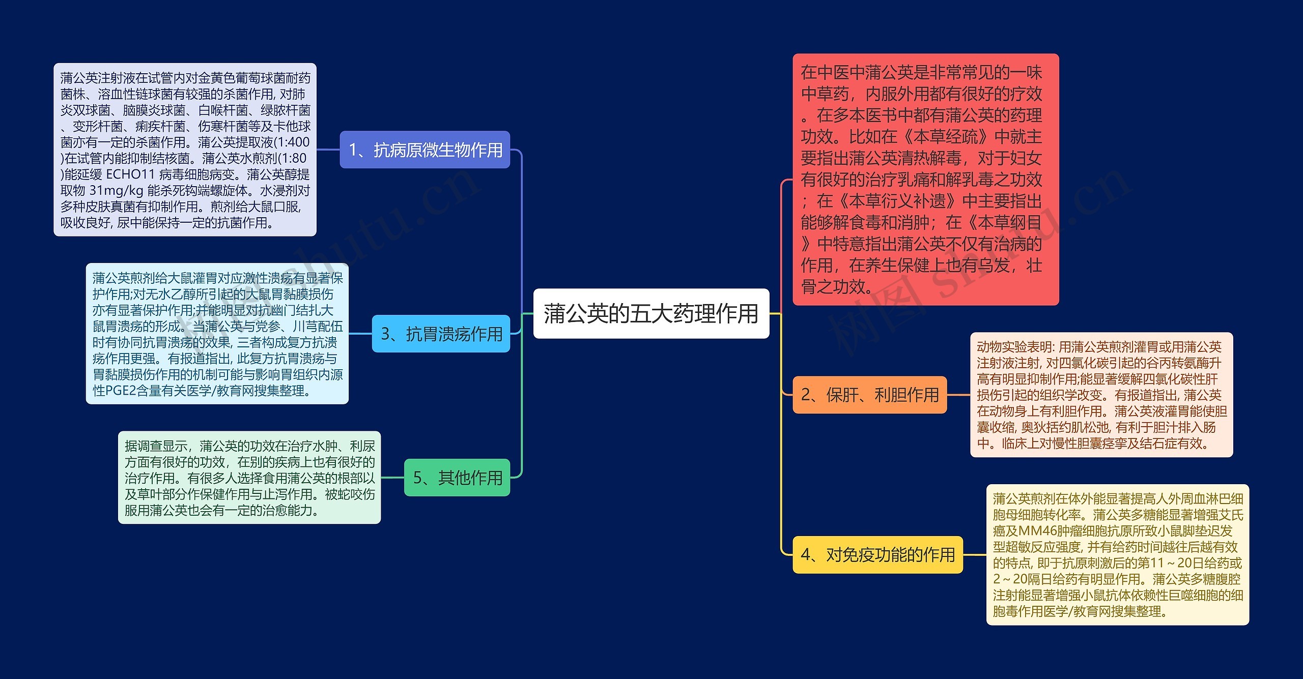 蒲公英的五大药理作用