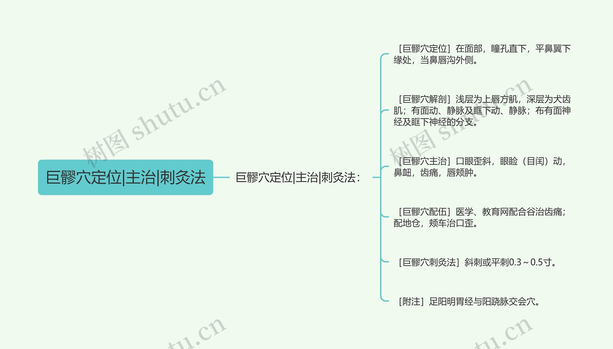 巨髎穴定位|主治|刺灸法思维导图