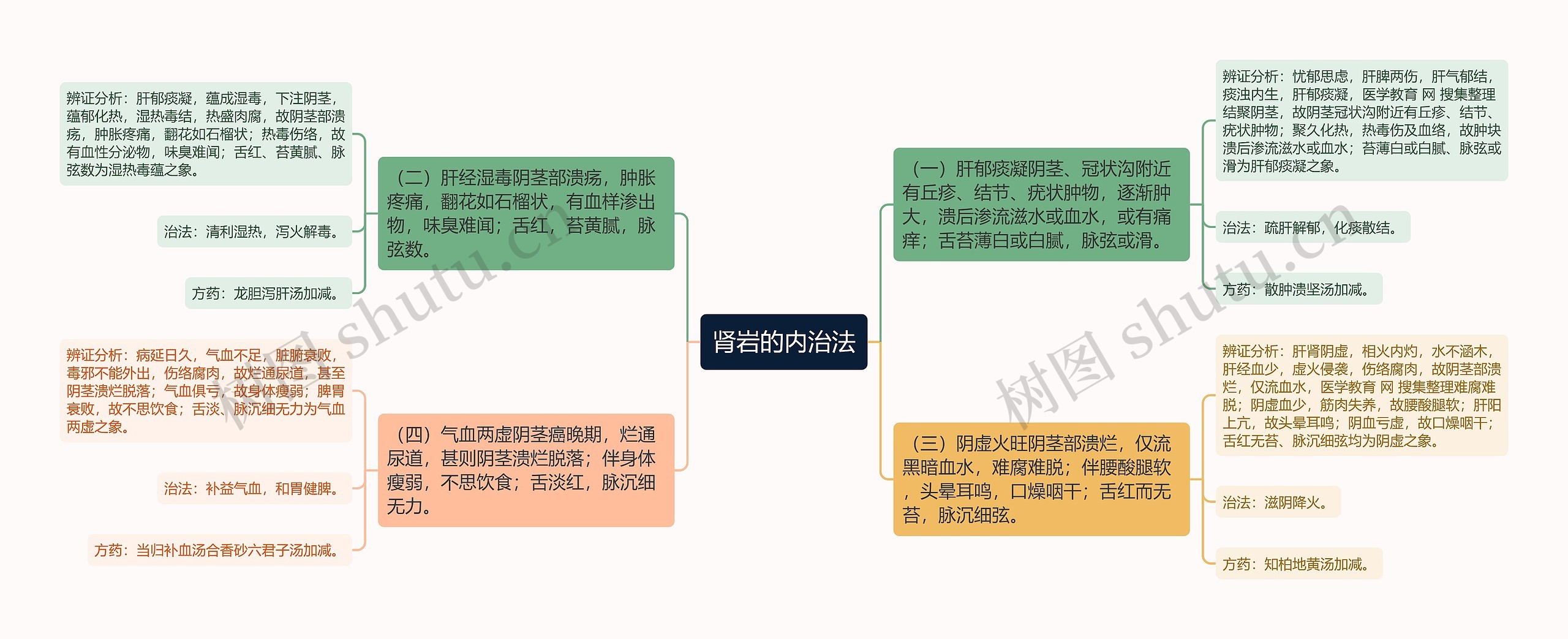 肾岩的内治法思维导图