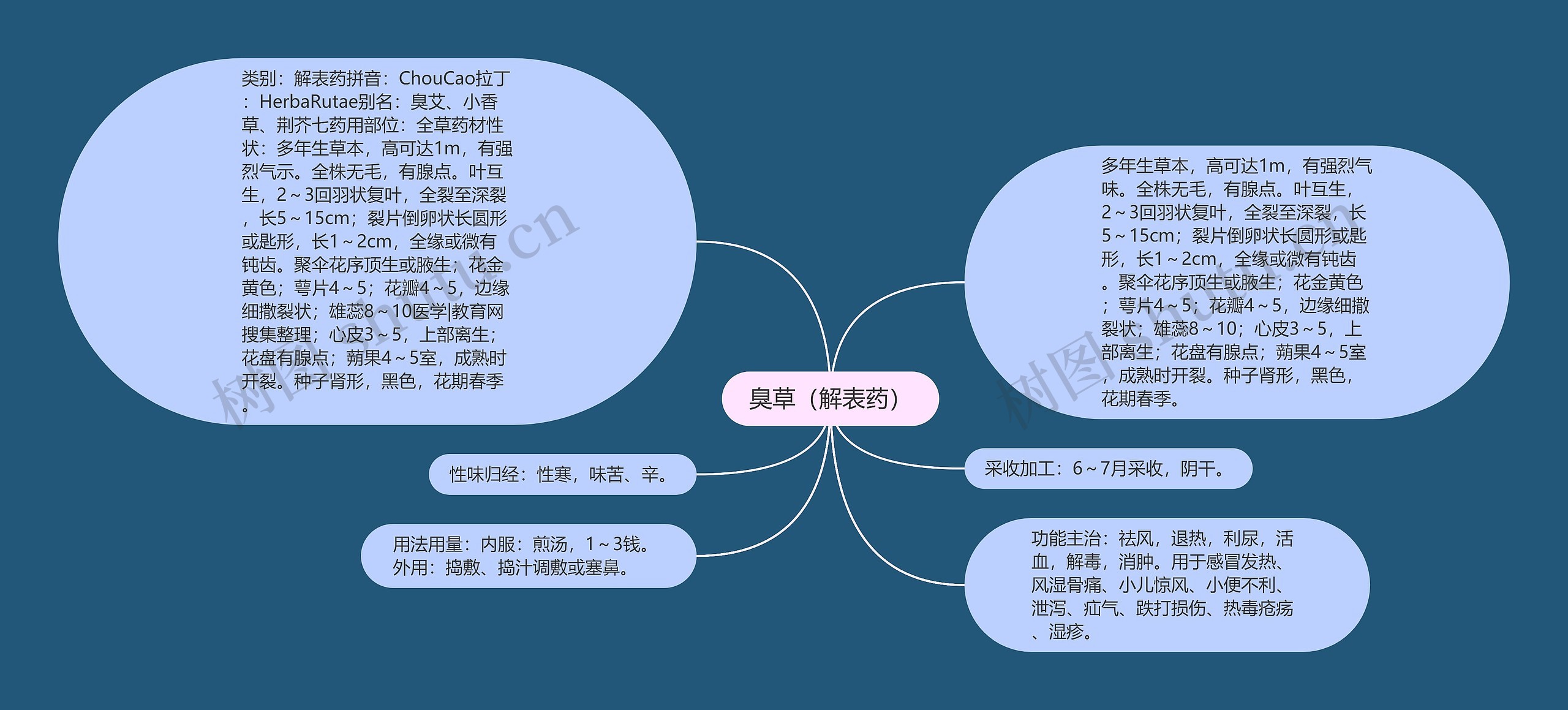 臭草（解表药）思维导图