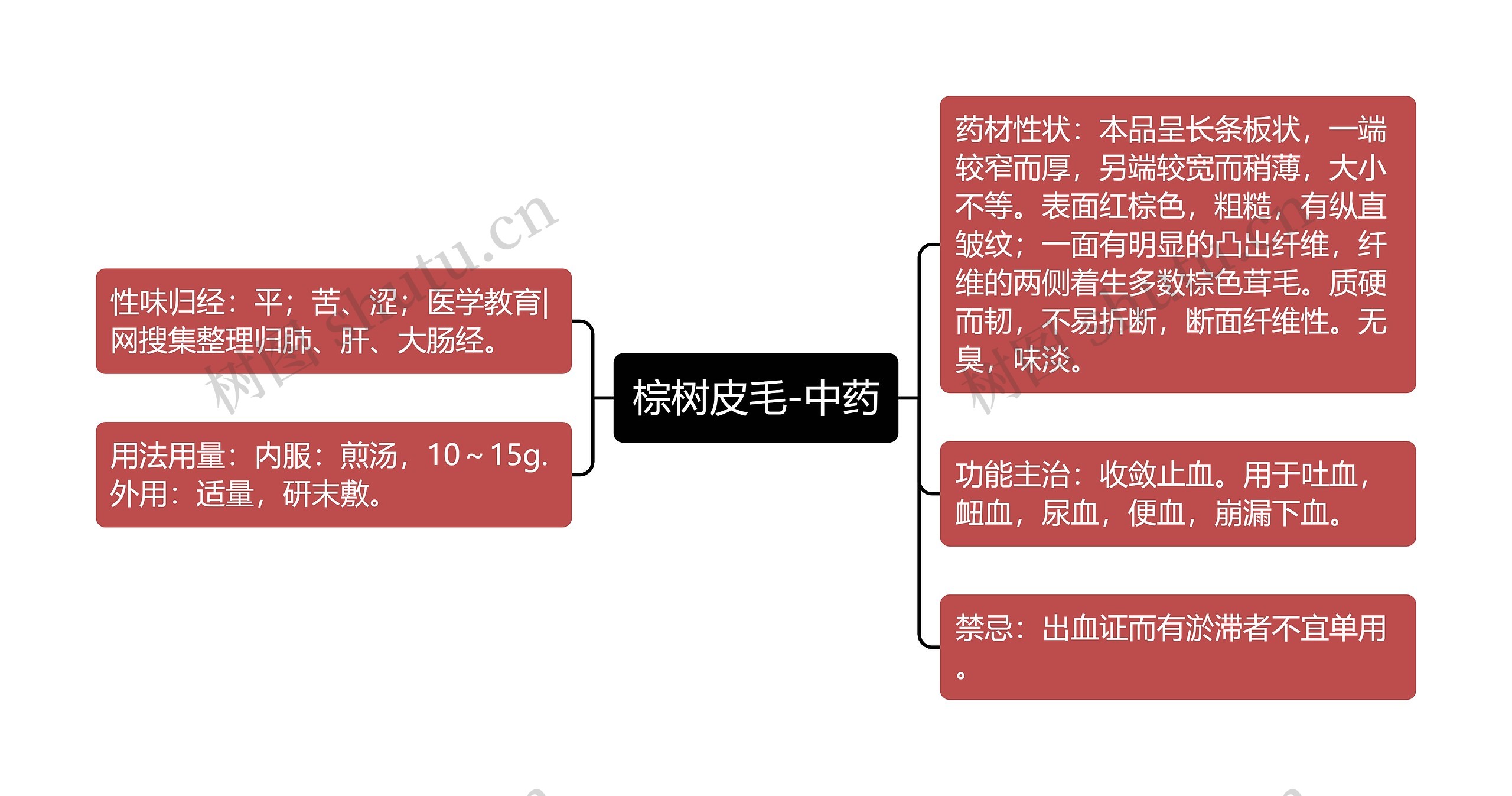 棕树皮毛-中药