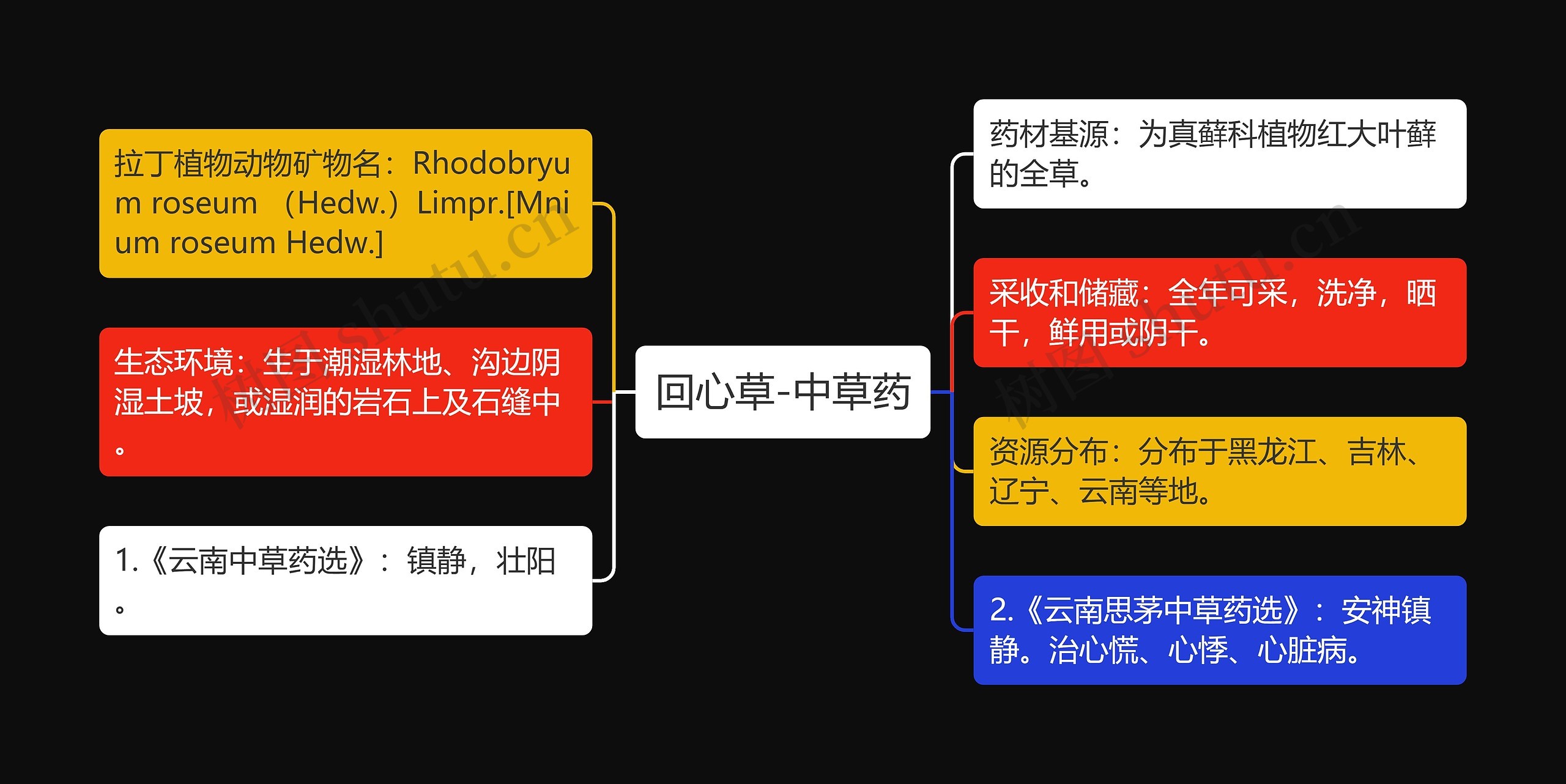 回心草-中草药 回心草-中草药