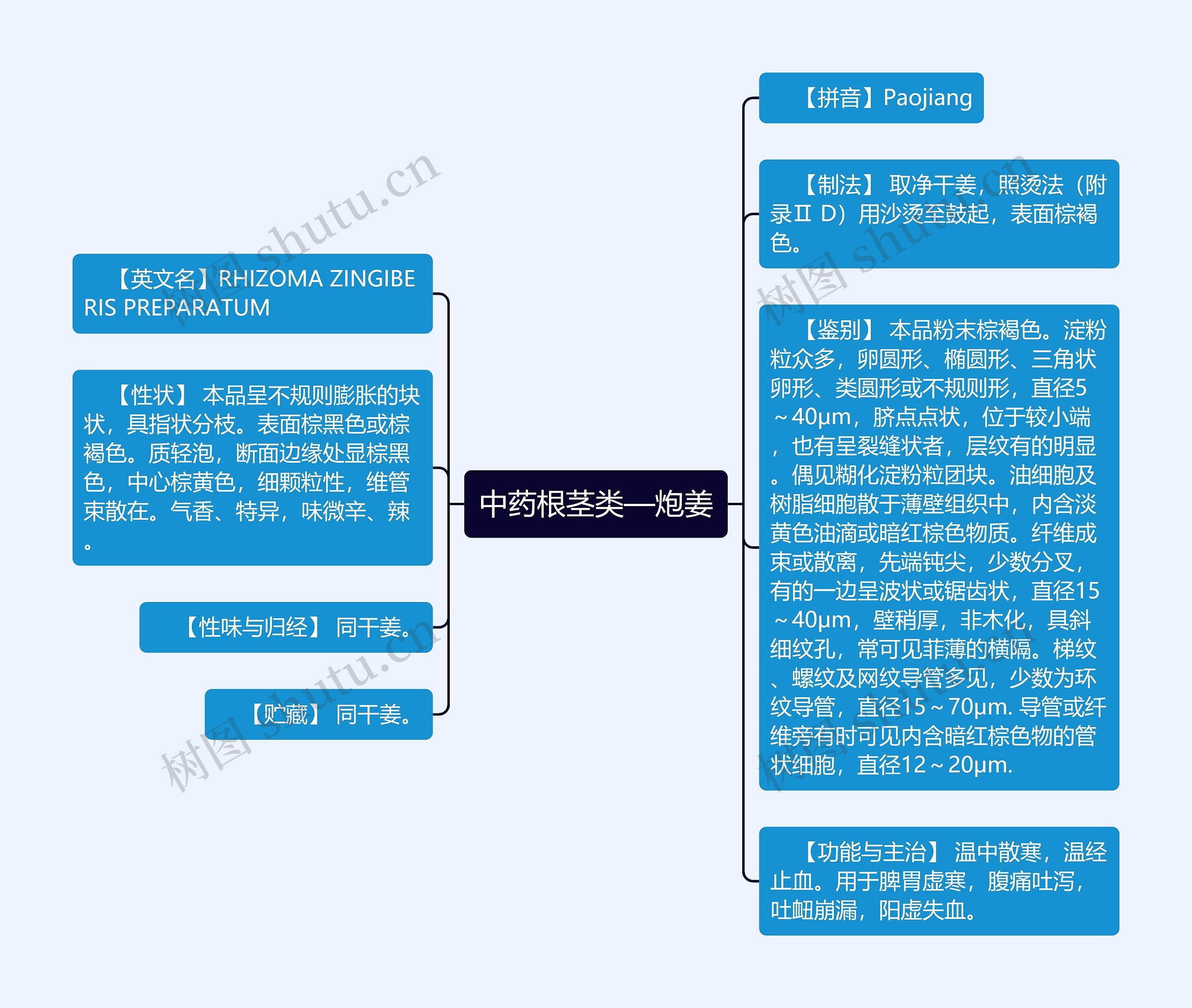 中药根茎类—炮姜思维导图