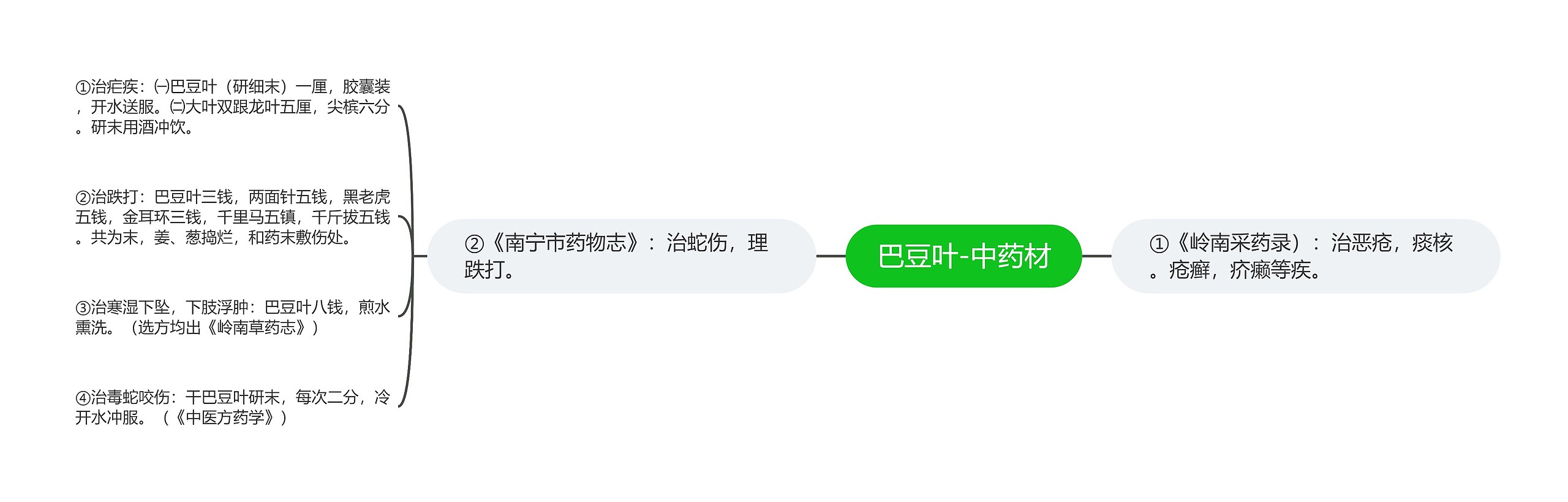 巴豆叶-中药材思维导图