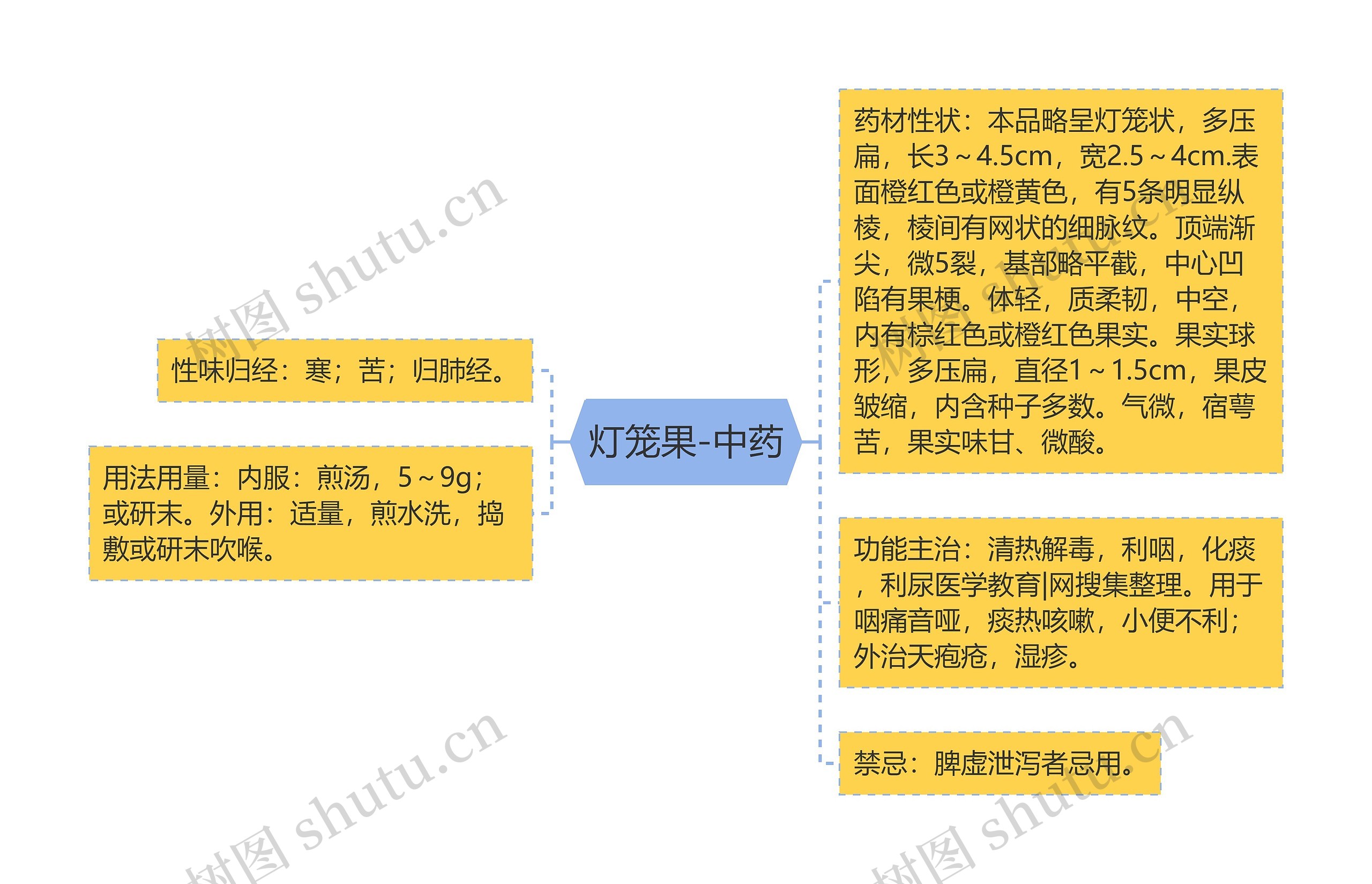 灯笼果-中药 灯笼果-中药