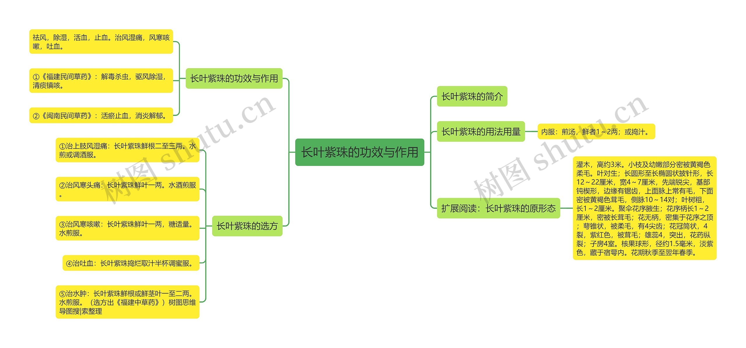 长叶紫珠的功效与作用 长叶紫珠的功效与作用