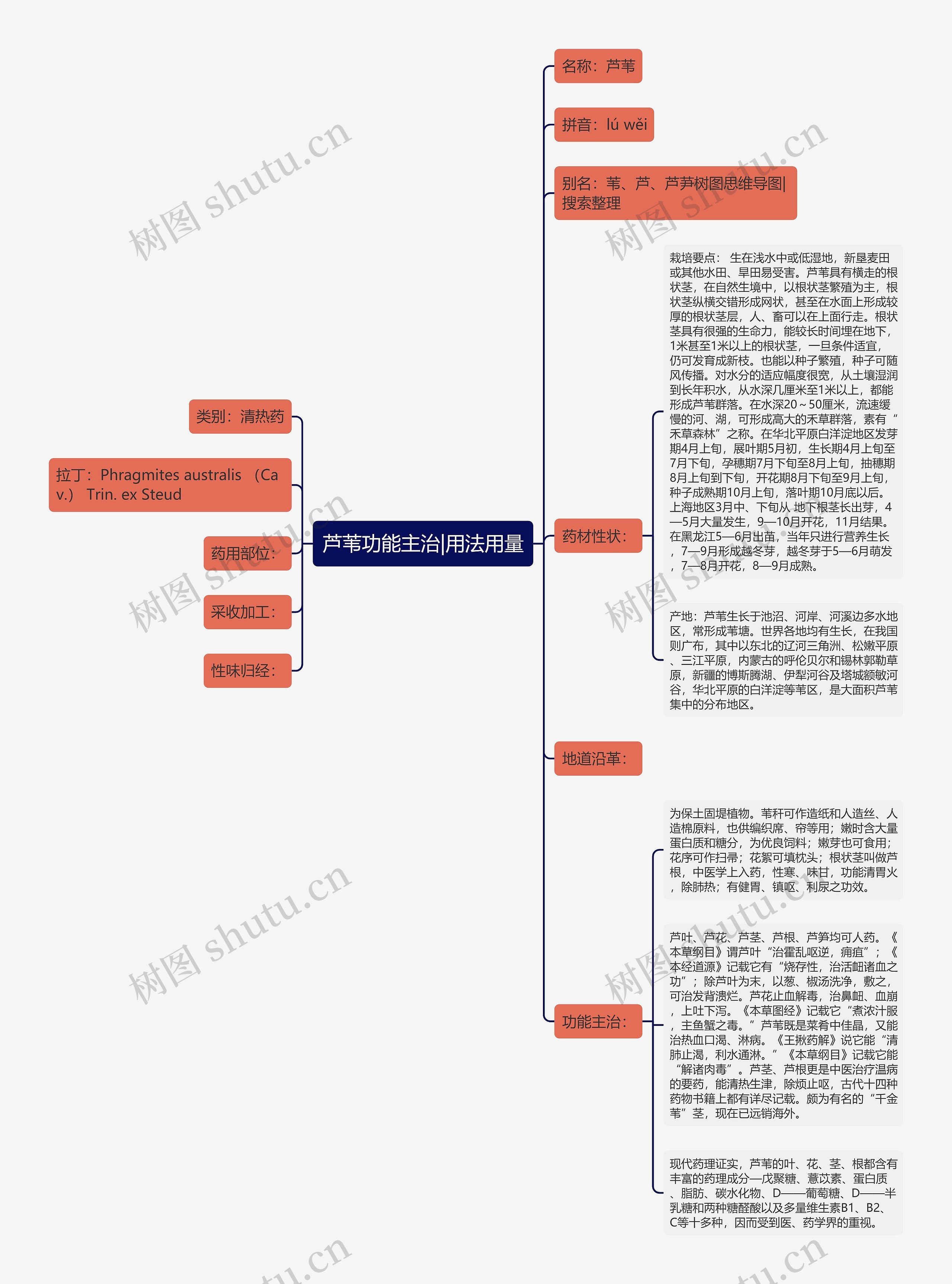 芦苇功能主治|用法用量思维导图