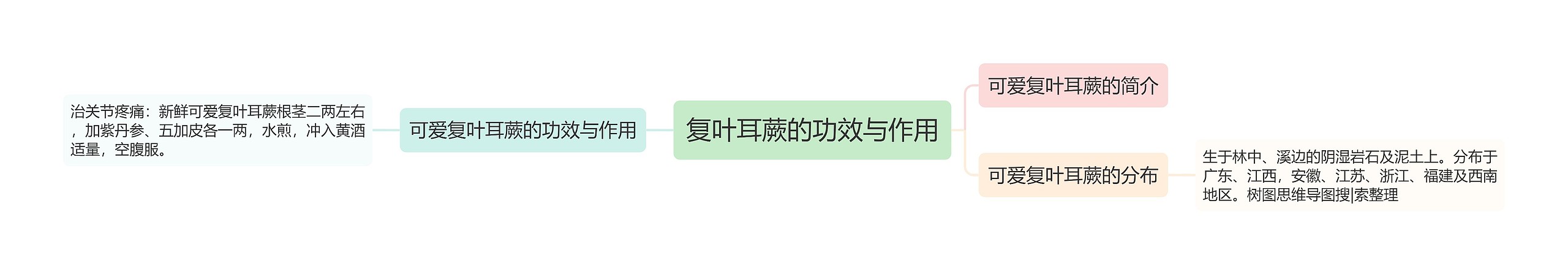 复叶耳蕨的功效与作用 复叶耳蕨的功效与作用