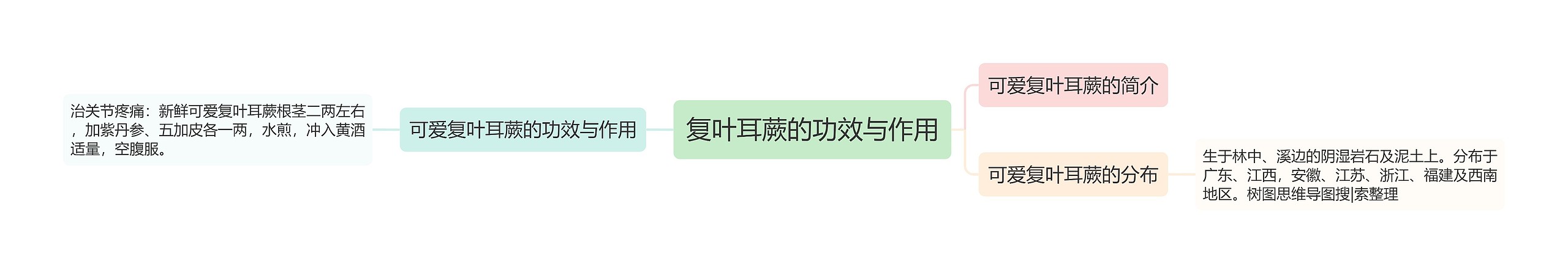 复叶耳蕨的功效与作用思维导图