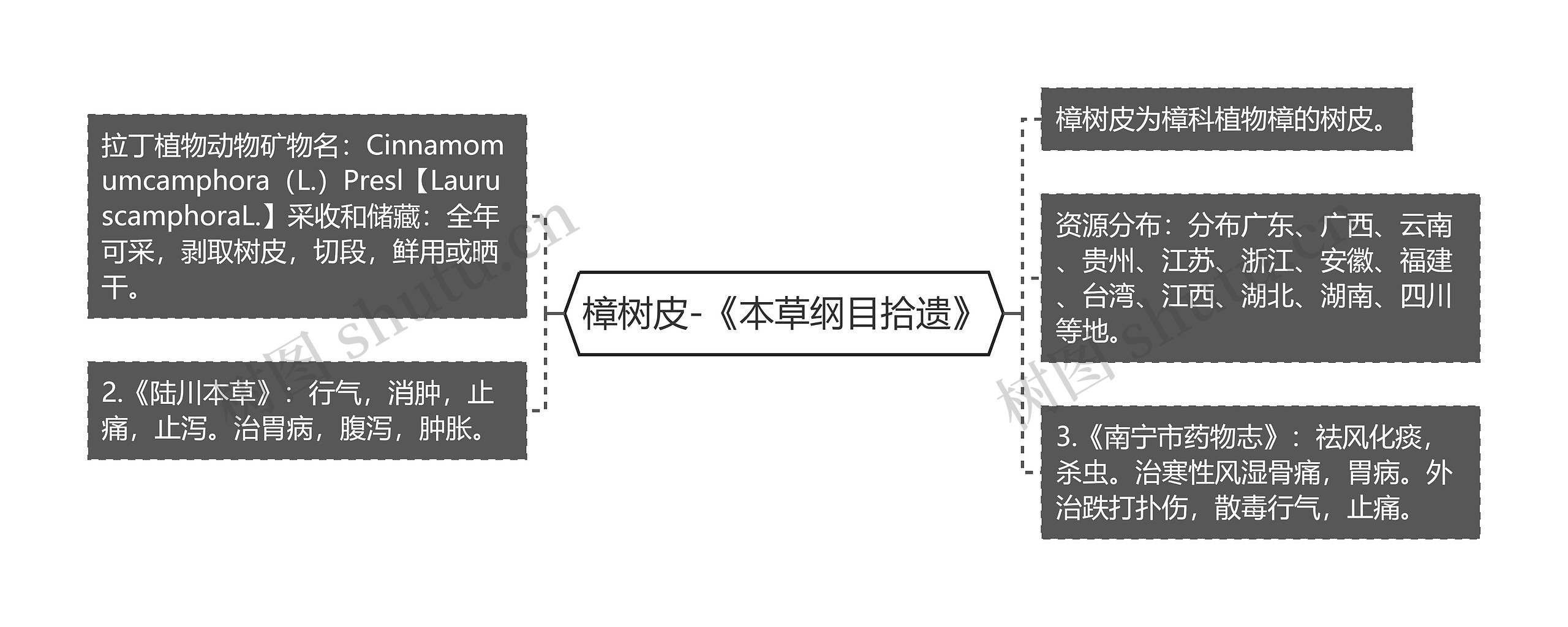 樟树皮-《本草纲目拾遗》思维导图