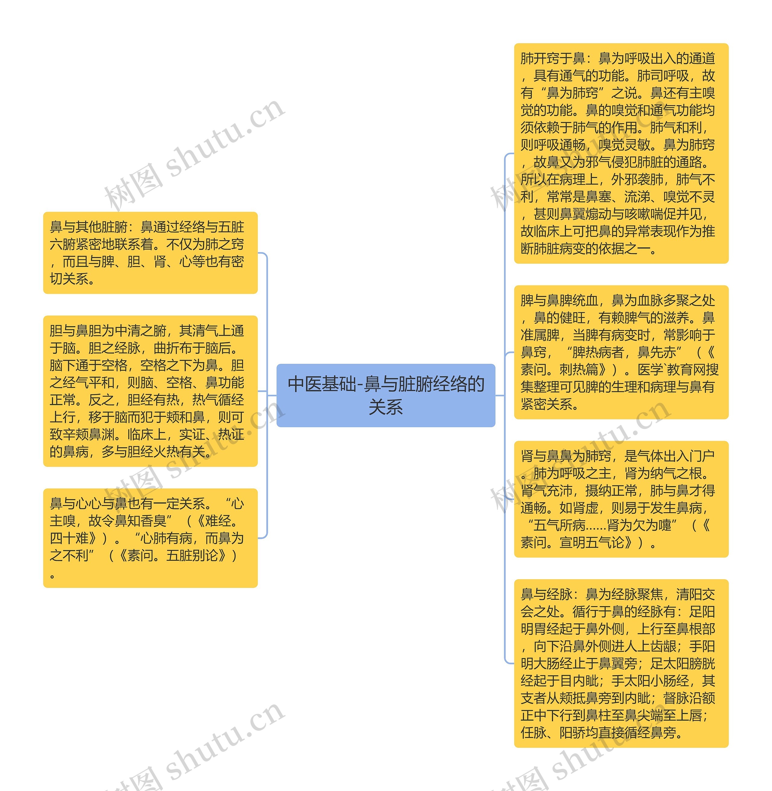 中医基础-鼻与脏腑经络的关系思维导图