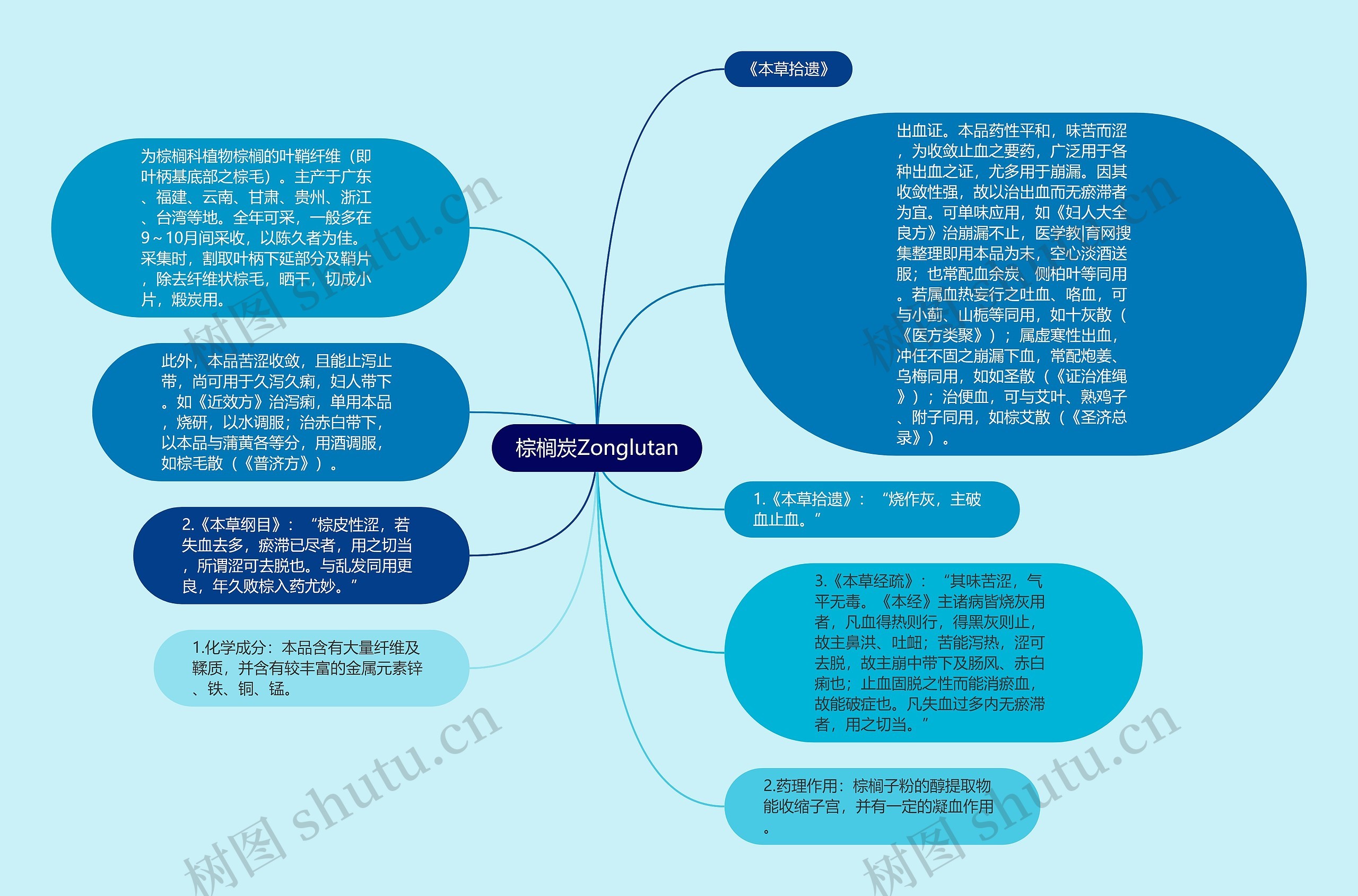 棕榈炭Zonglutan思维导图