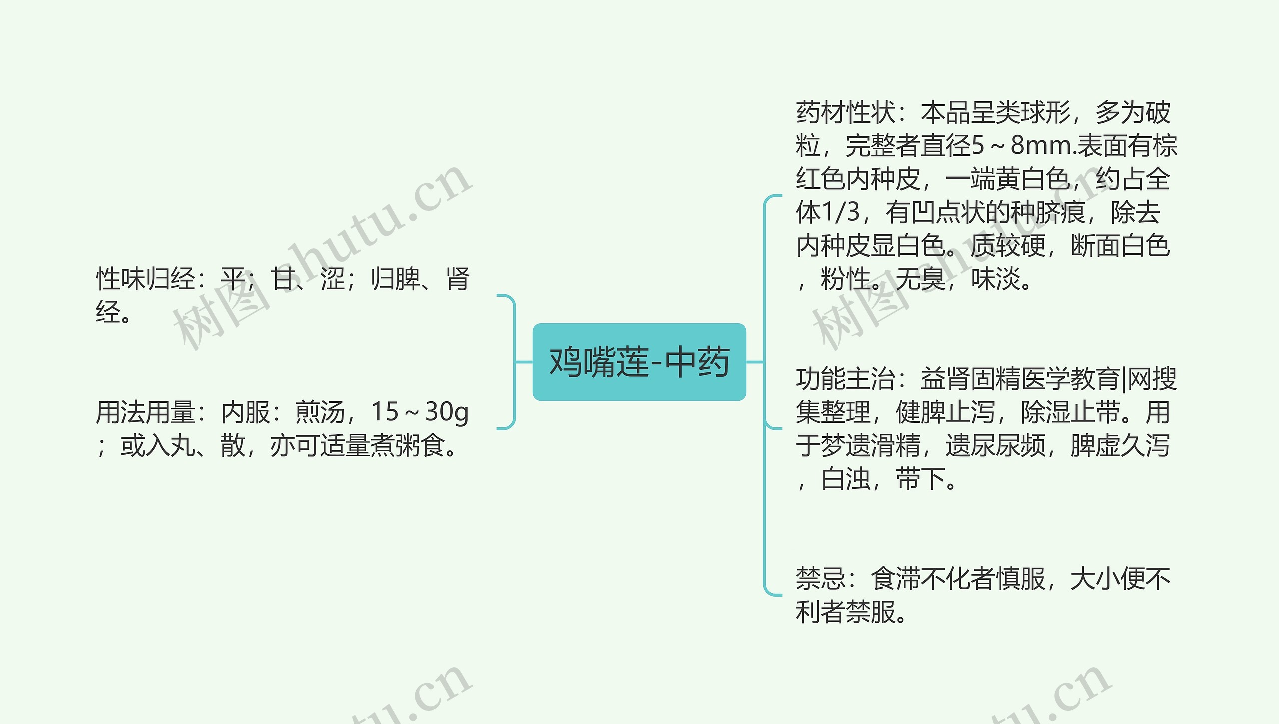 鸡嘴莲-中药思维导图