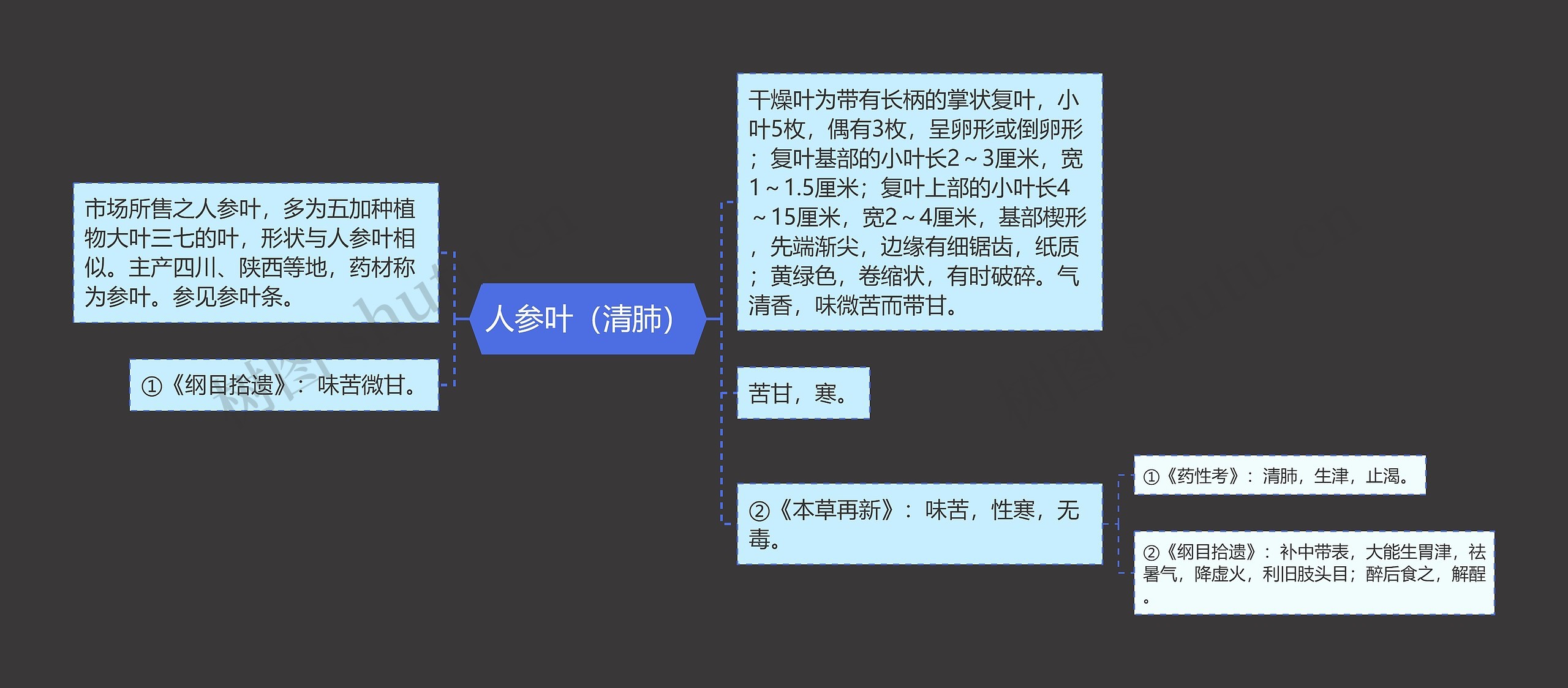 人参叶（清肺）思维导图