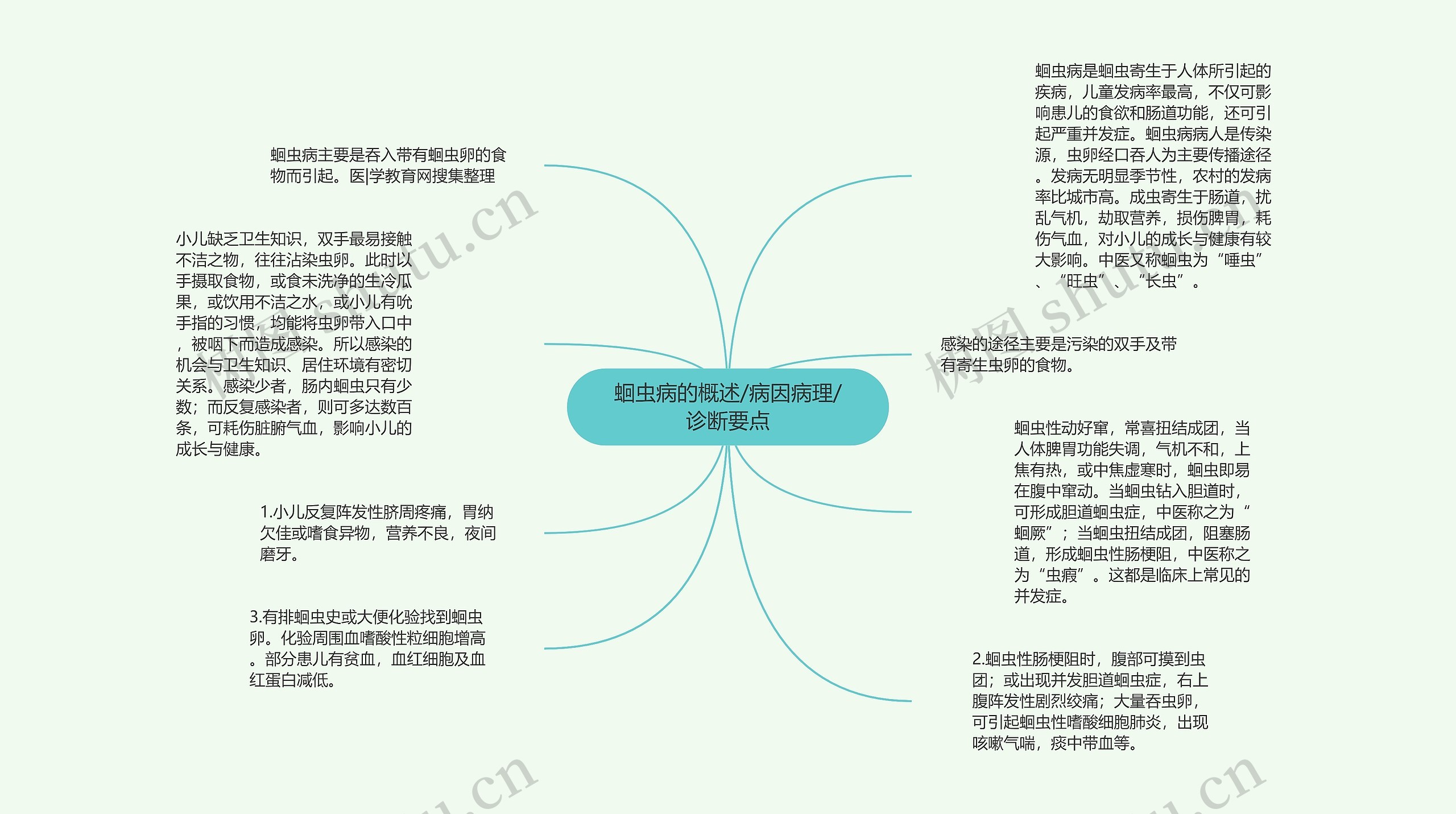 蛔虫病的概述/病因病理/诊断要点思维导图