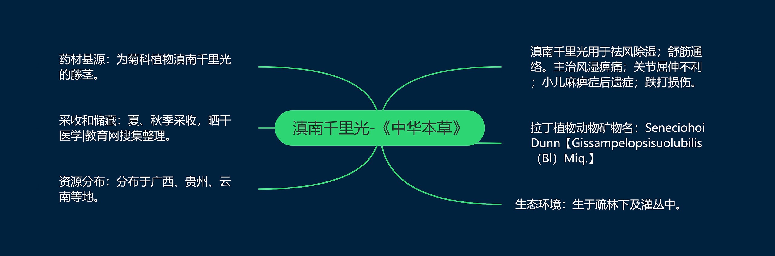 滇南千里光-《中华本草》