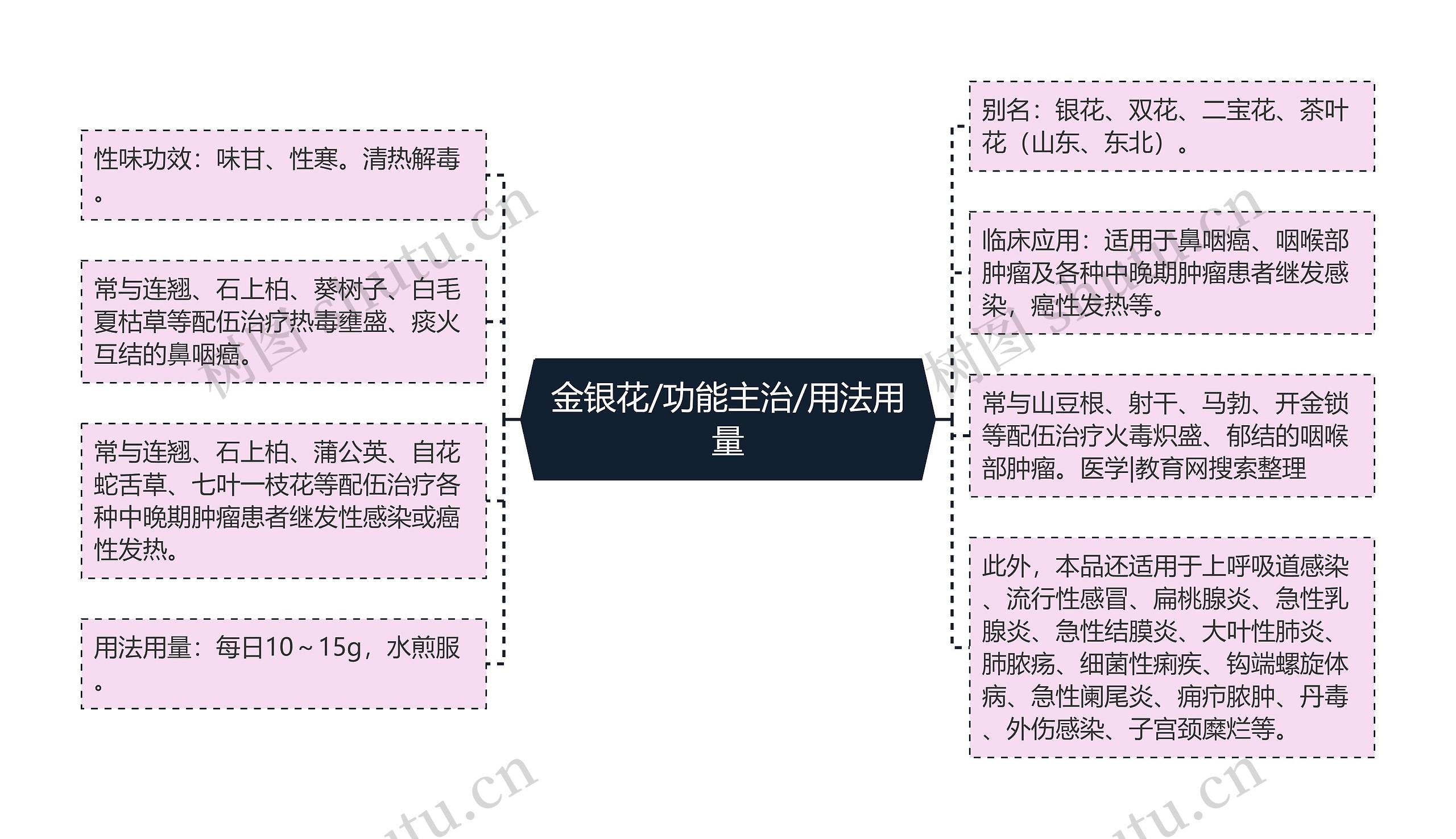 金银花/功能主治/用法用量思维导图