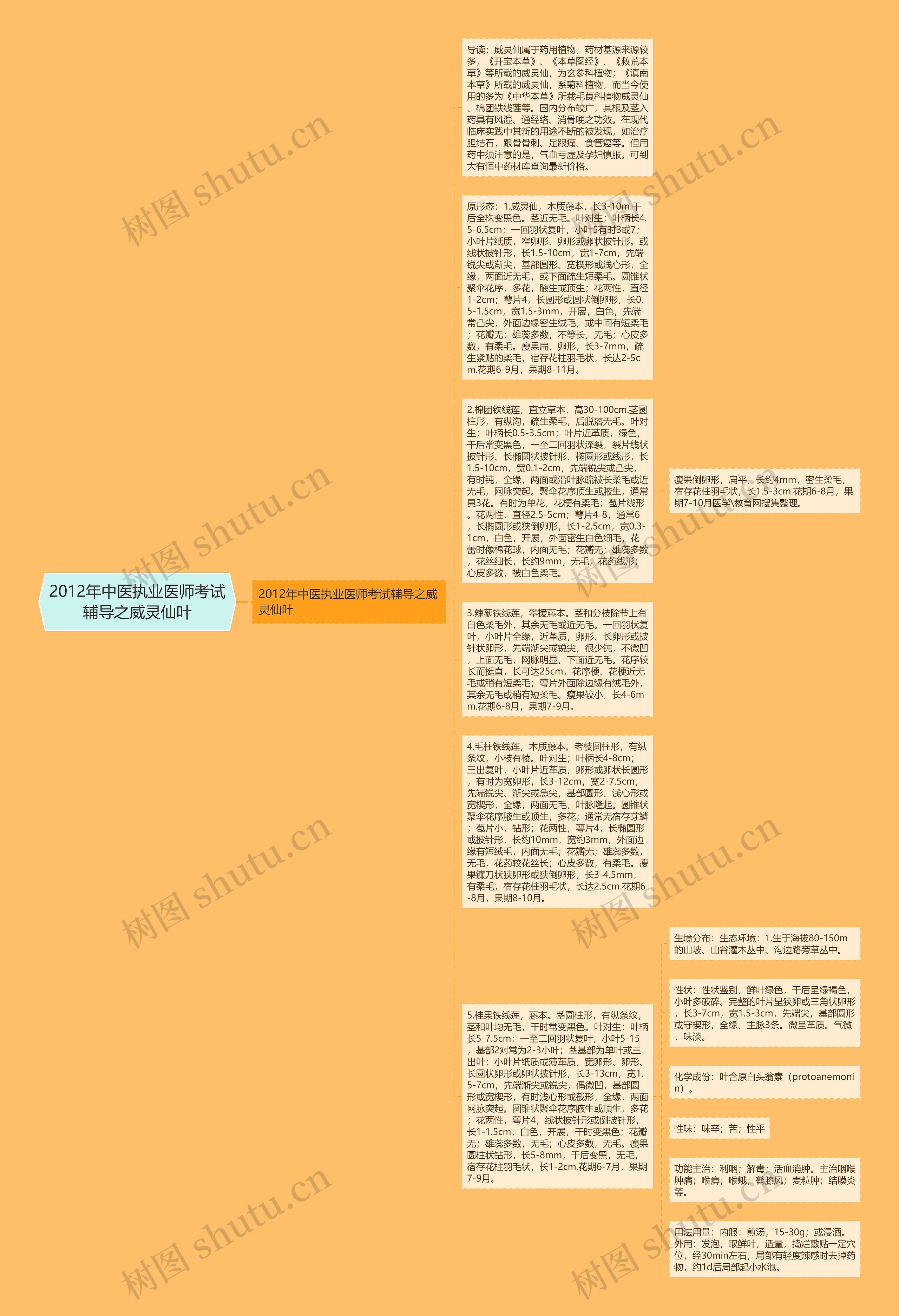 2012年中医执业医师考试辅导之威灵仙叶思维导图