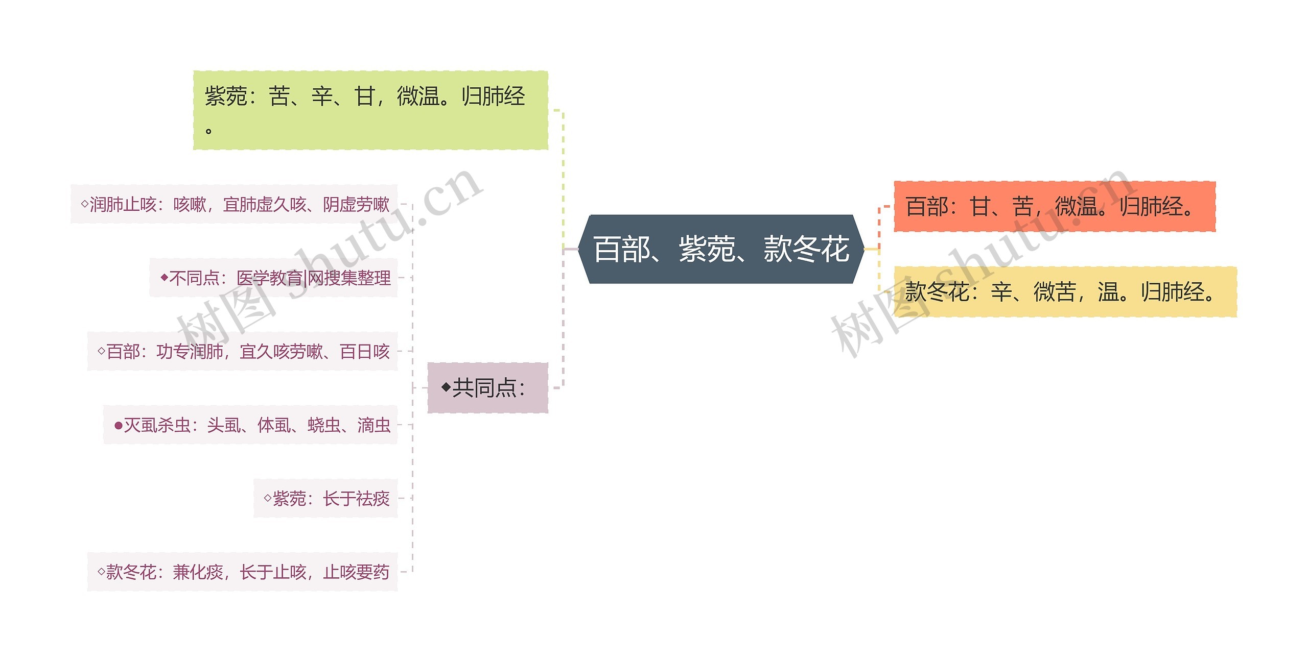 百部、紫菀、款冬花思维导图