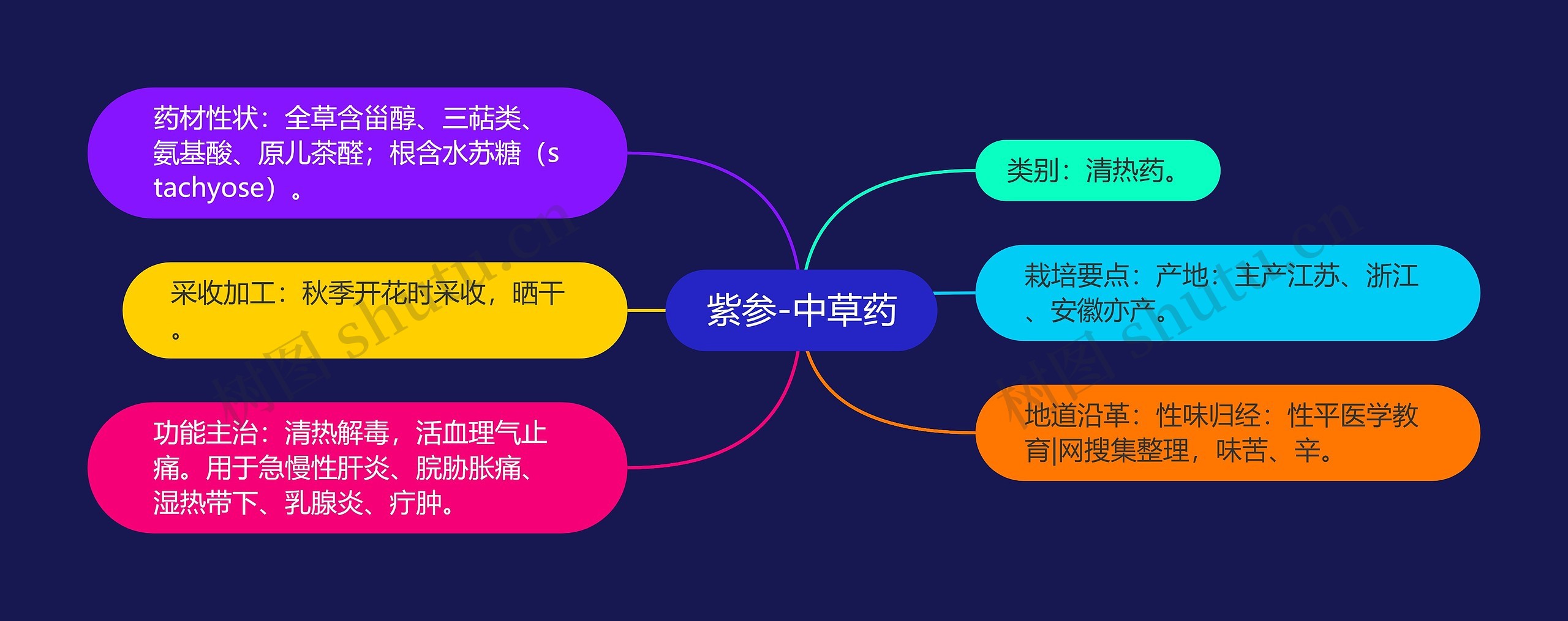 紫参-中草药 紫参-中草药