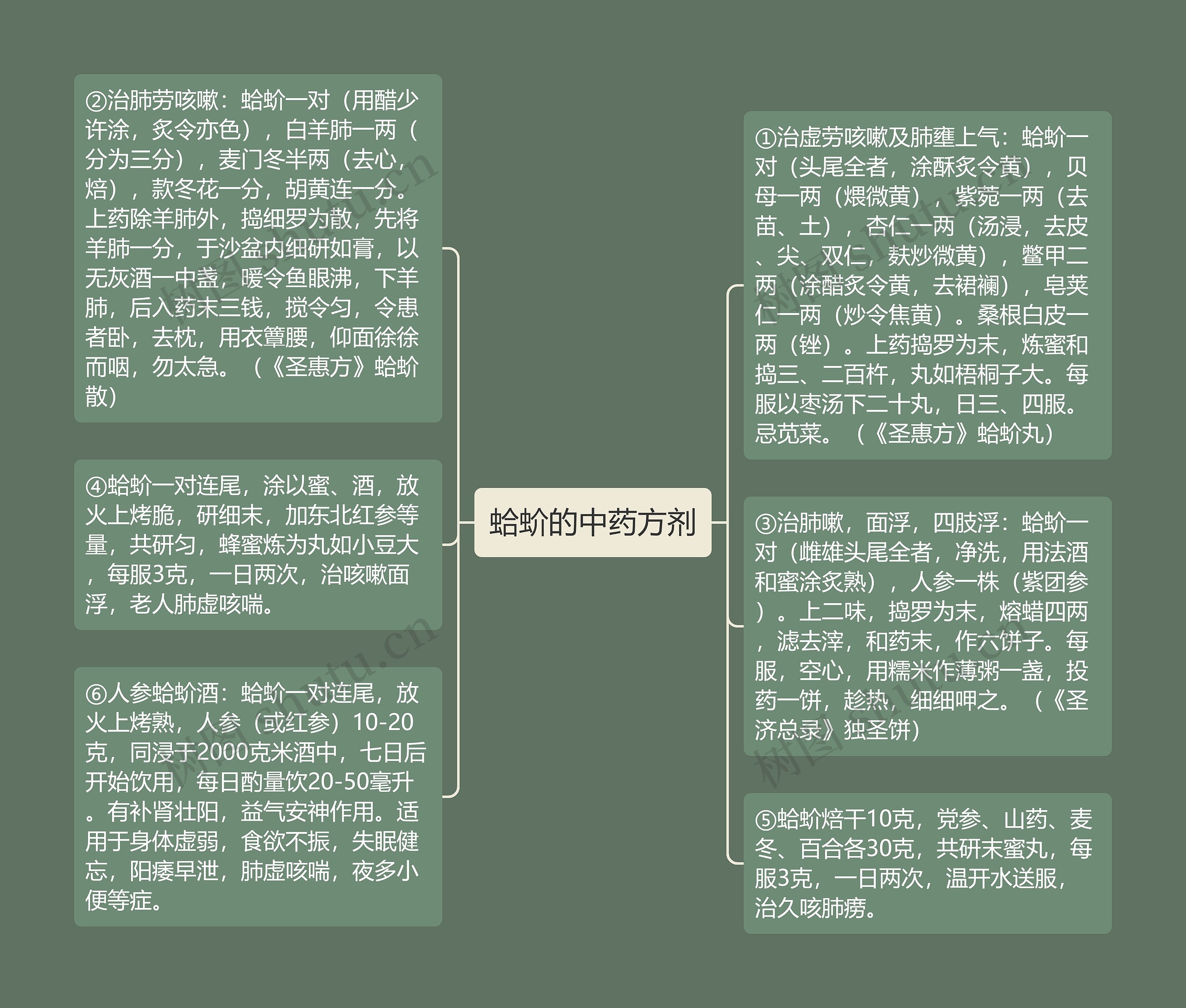 蛤蚧的中药方剂思维导图