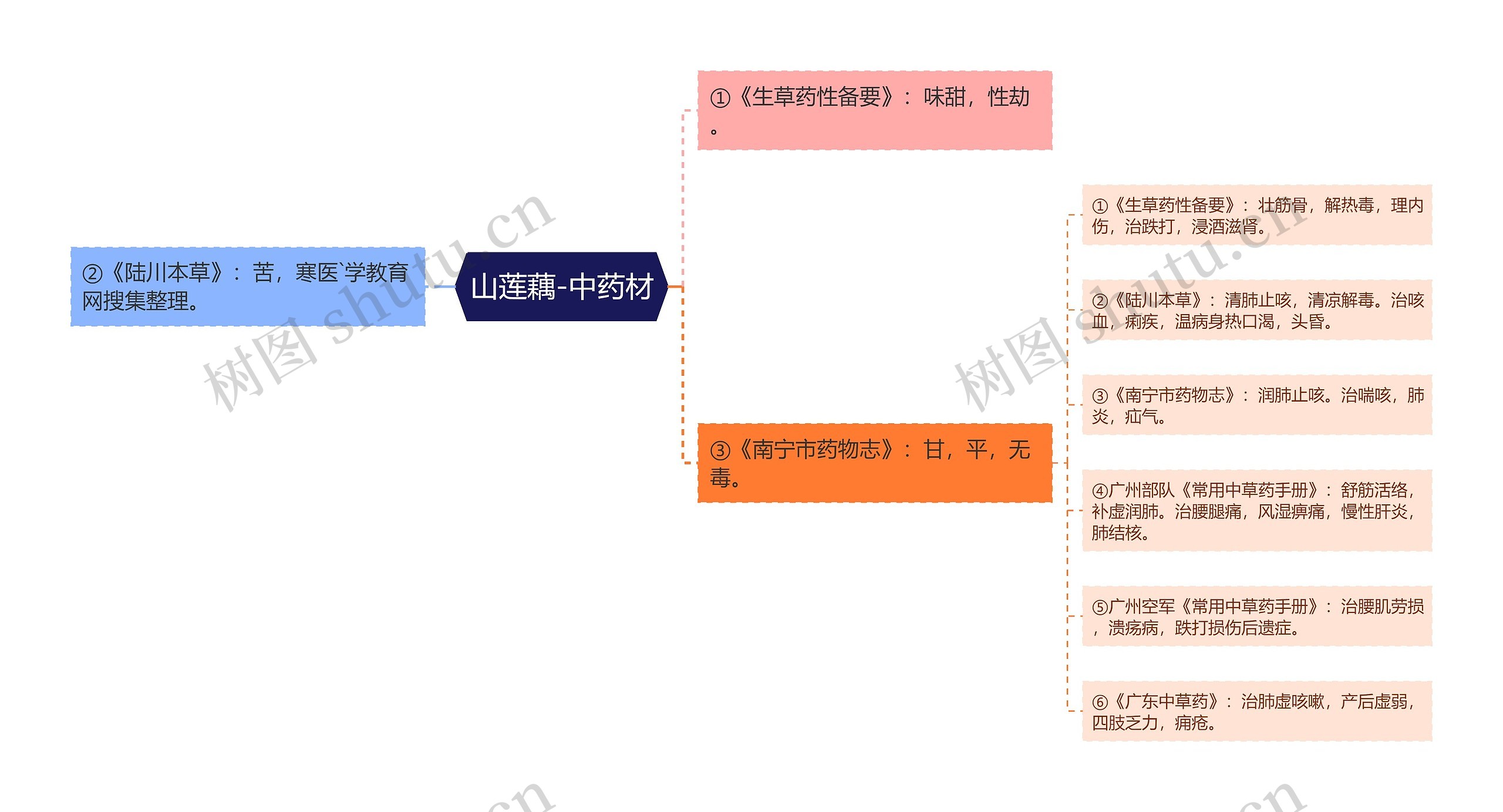 山莲藕-中药材思维导图