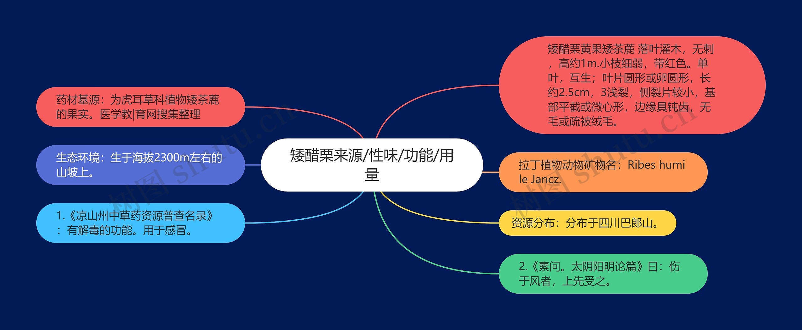 矮醋栗来源/性味/功能/用量思维导图