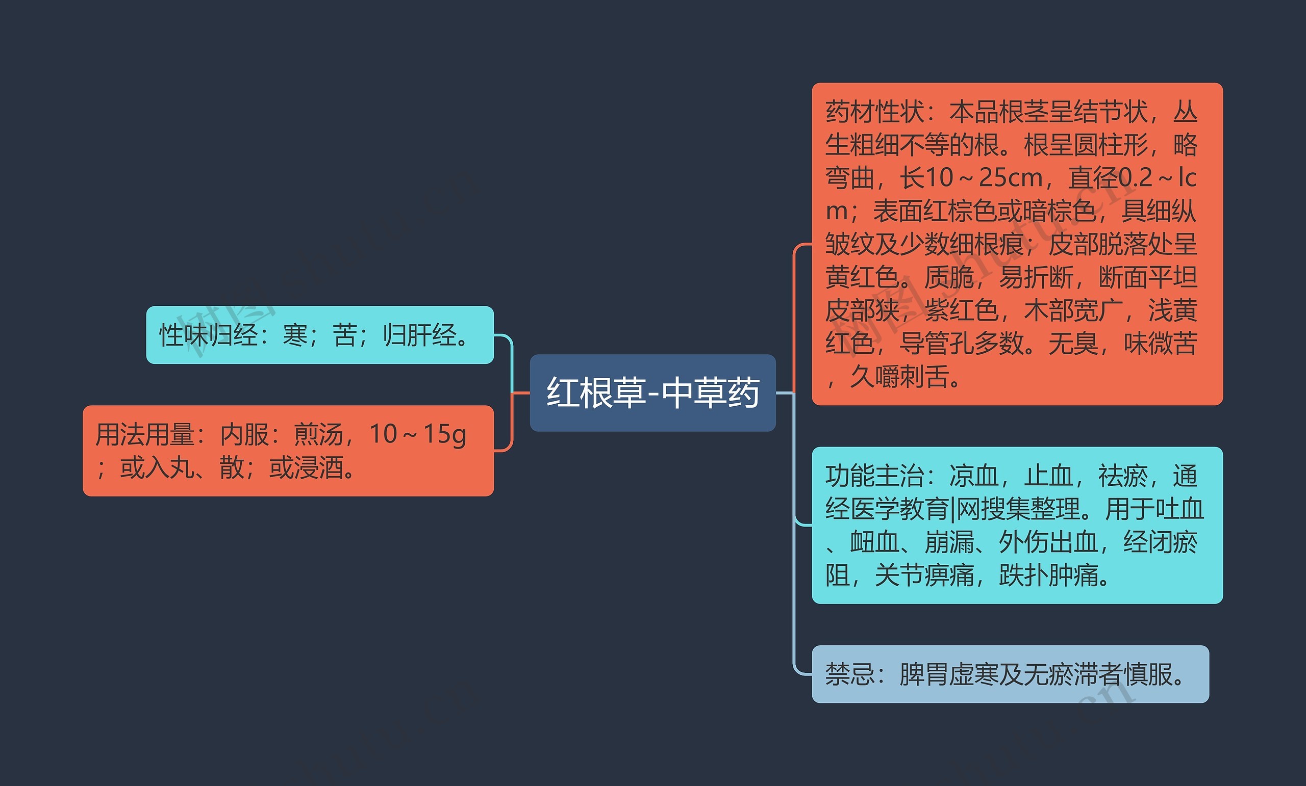 红根草-中草药思维导图